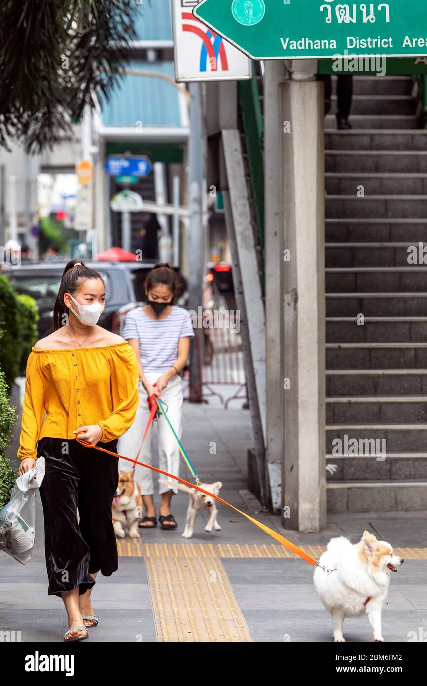 Fille avec masque de visage chien de marche pendant la pandémie Covid 19, Bangkok, Thaïlande Banque D'Images