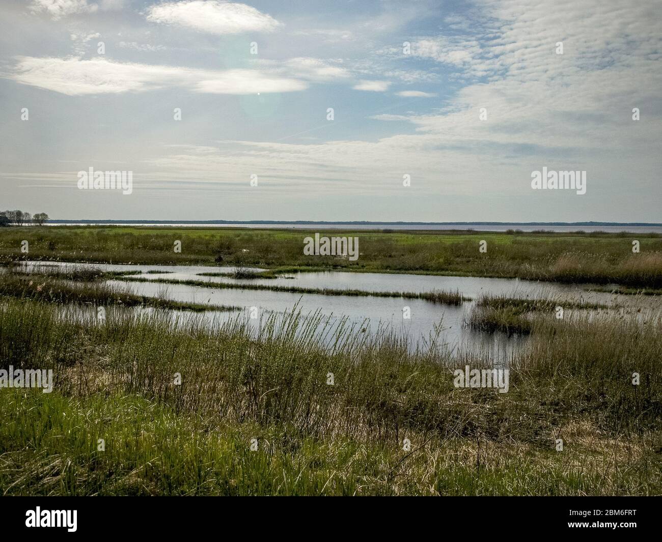 Paysage lumineux avec rive du lac, prés inondés de lac, verdure de la première source, papier peint, prés de Silzemnieki, Burtnieks, Lettonie Banque D'Images