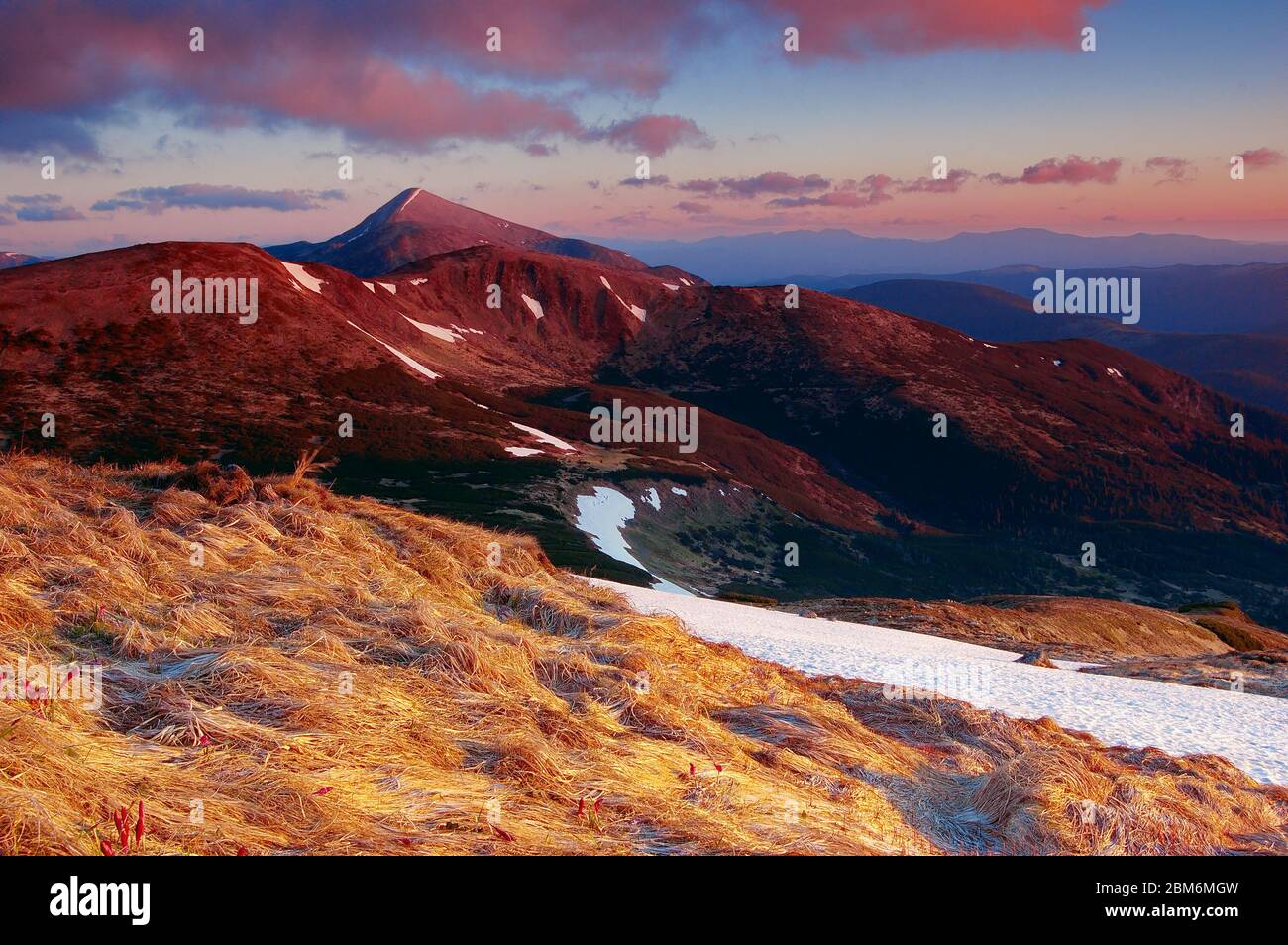 Matin en montagne. Sur une photo, la plus haute montagne des Carpates ukrainiens - Goverla de 2061 mètres est représentée. Banque D'Images