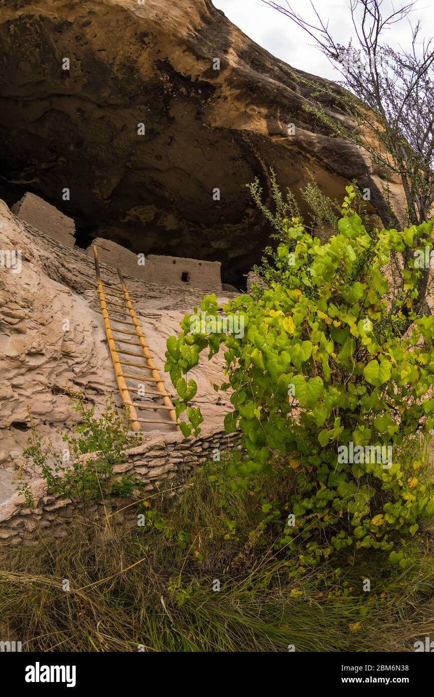 Grottes des falaises des anciens habitants de Mogollon Pueblo dans le monument national de Gila Cliff Dwellings, Nouveau-Mexique, États-Unis Banque D'Images