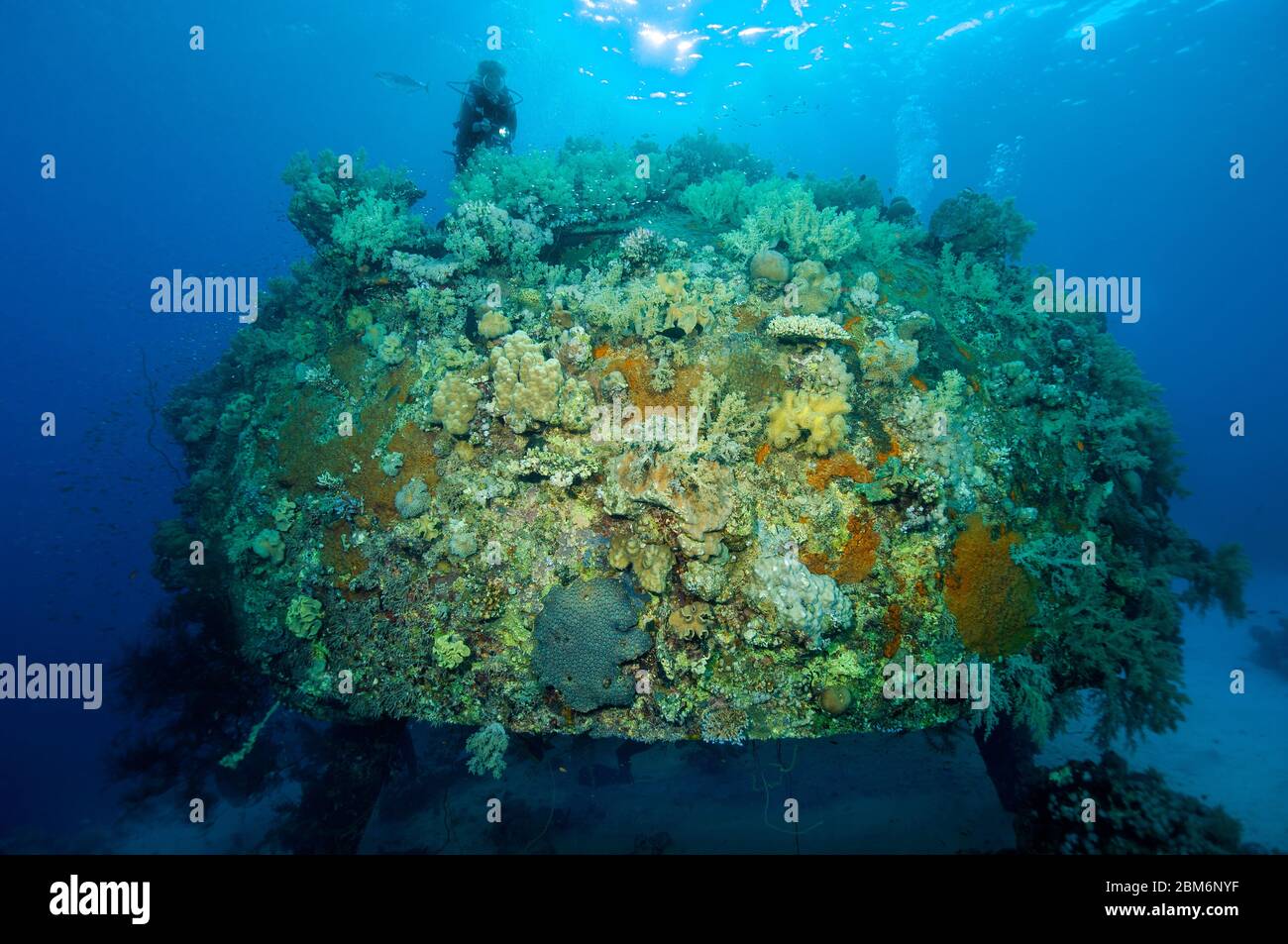 Unterwasserhaus von Jacques Yves Cousteau, Precontinent II, Rotes Meer, Shab Rumi, Soudan, Afrika Banque D'Images