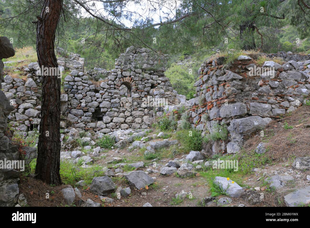 La ruine de l'église de chimera dans la forêt près de Yanartash près du village de cirali en Turquie. Célèbre Likya Yolu touristique en Turquie Banque D'Images