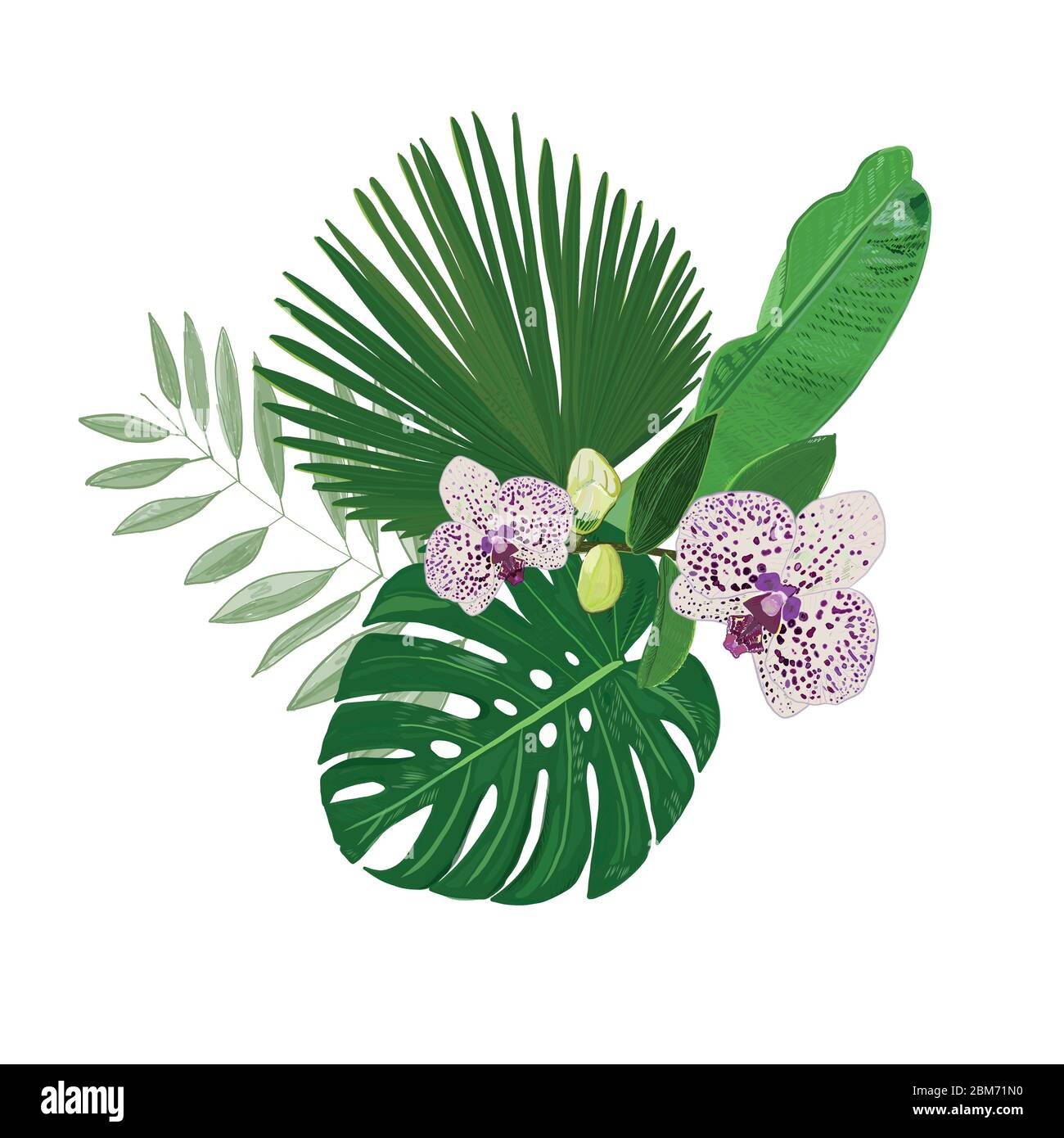 Bannière de feuilles tropicales avec feuilles tropicales et fleurs d'orchidées en arrière-plan vectoriel Illustration de Vecteur