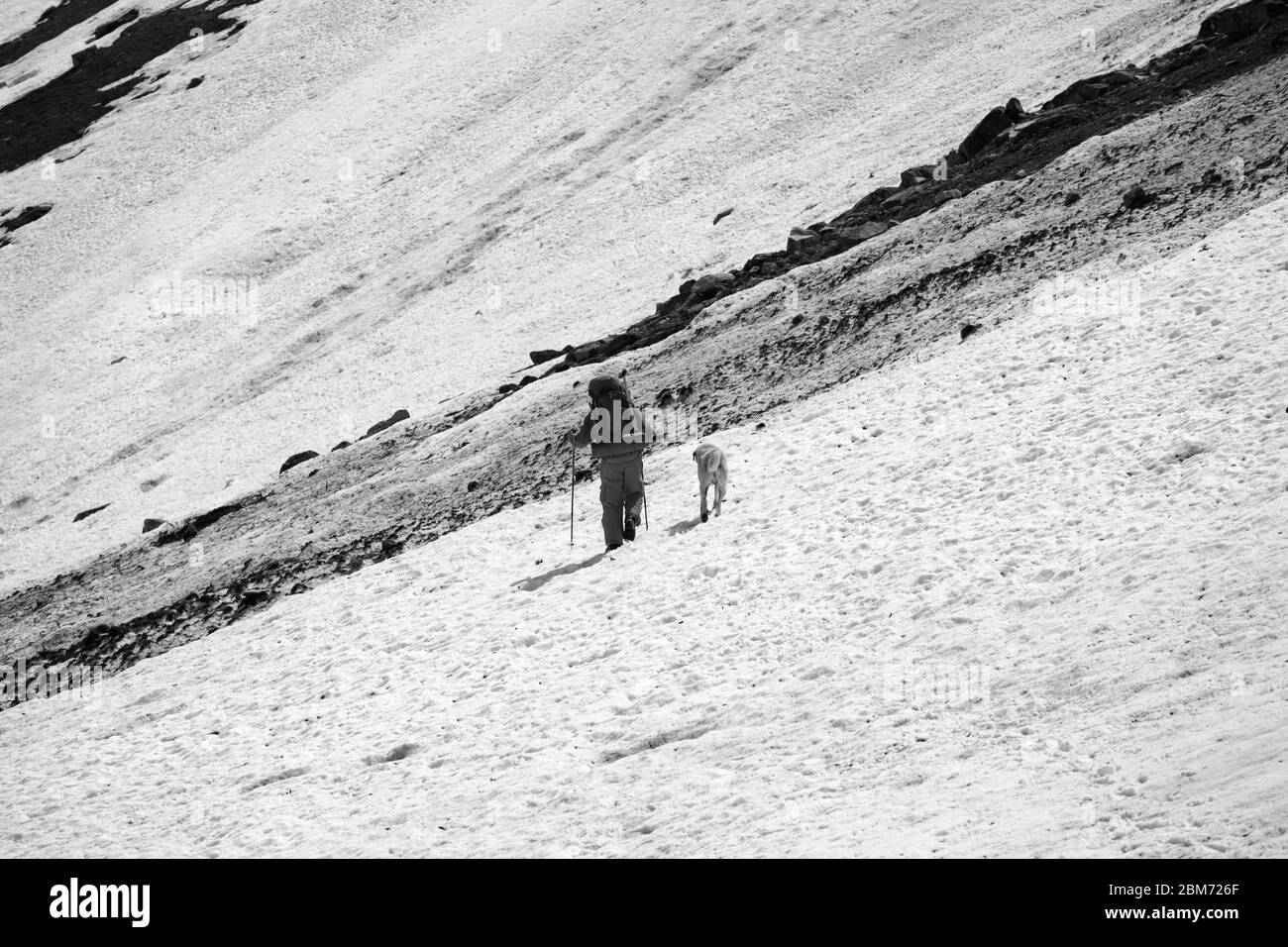 Randonneur avec chien sur glacier enneigé et trace d'avalanche sale dans les hautes montagnes. Noir et blanc rétro tons paysage. Banque D'Images
