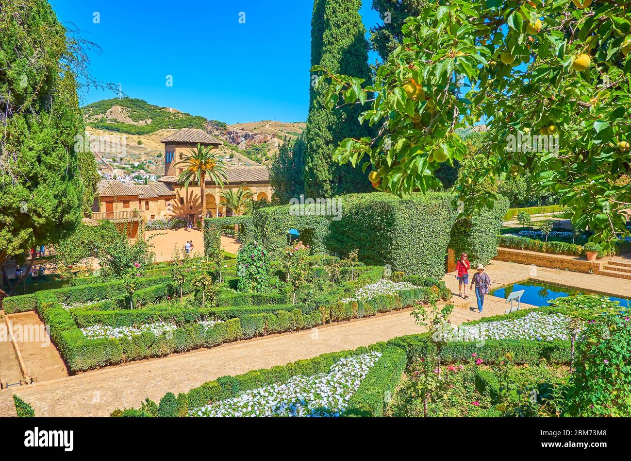 GRENADE, ESPAGNE - 25 SEPTEMBRE 2019 : le pittoresque jardin partal de l'Alhambra avec ses plantes topiaires, ses fleurs colorées dans ses parterres, sa piscine et son palais Banque D'Images