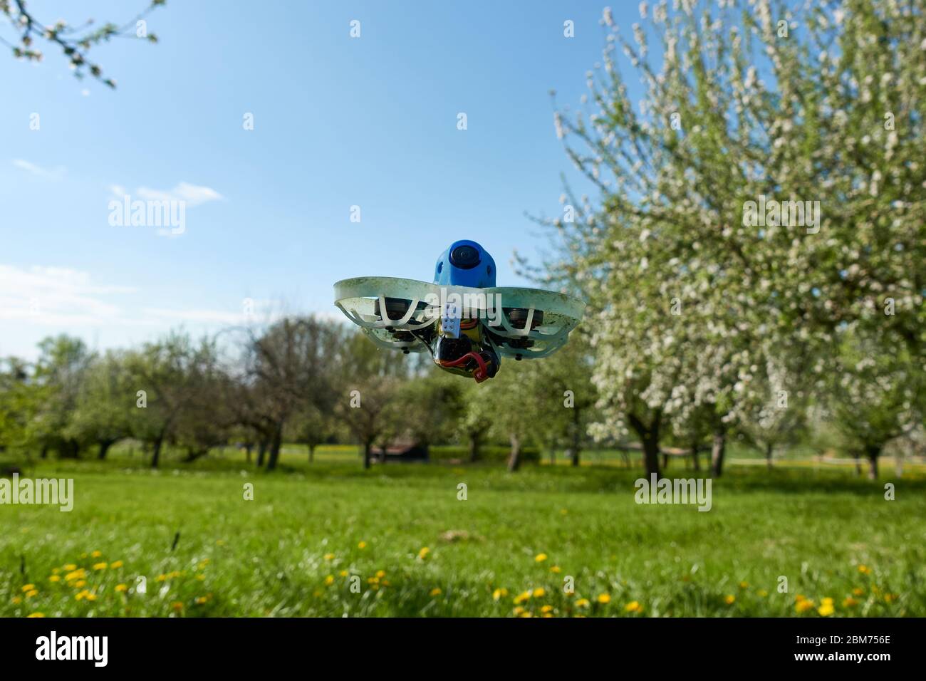 Un petit drone bleu est contrôlé par une caméra vidéo sur un champ vert, l'œil noir pointe vers le pilote.Nuertingen, Allemagne Banque D'Images