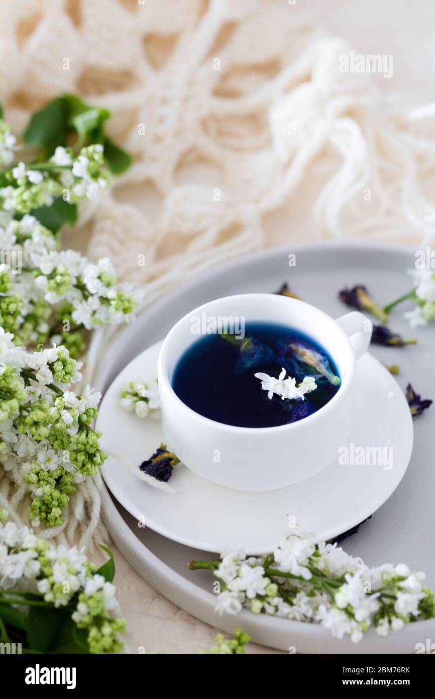 Tasse de thé aux papillons (fleurs aux pois, pois bleus) pour boire sainement, boire des détox et du lilas blanc. Détendez-vous, payez d'abord Banque D'Images