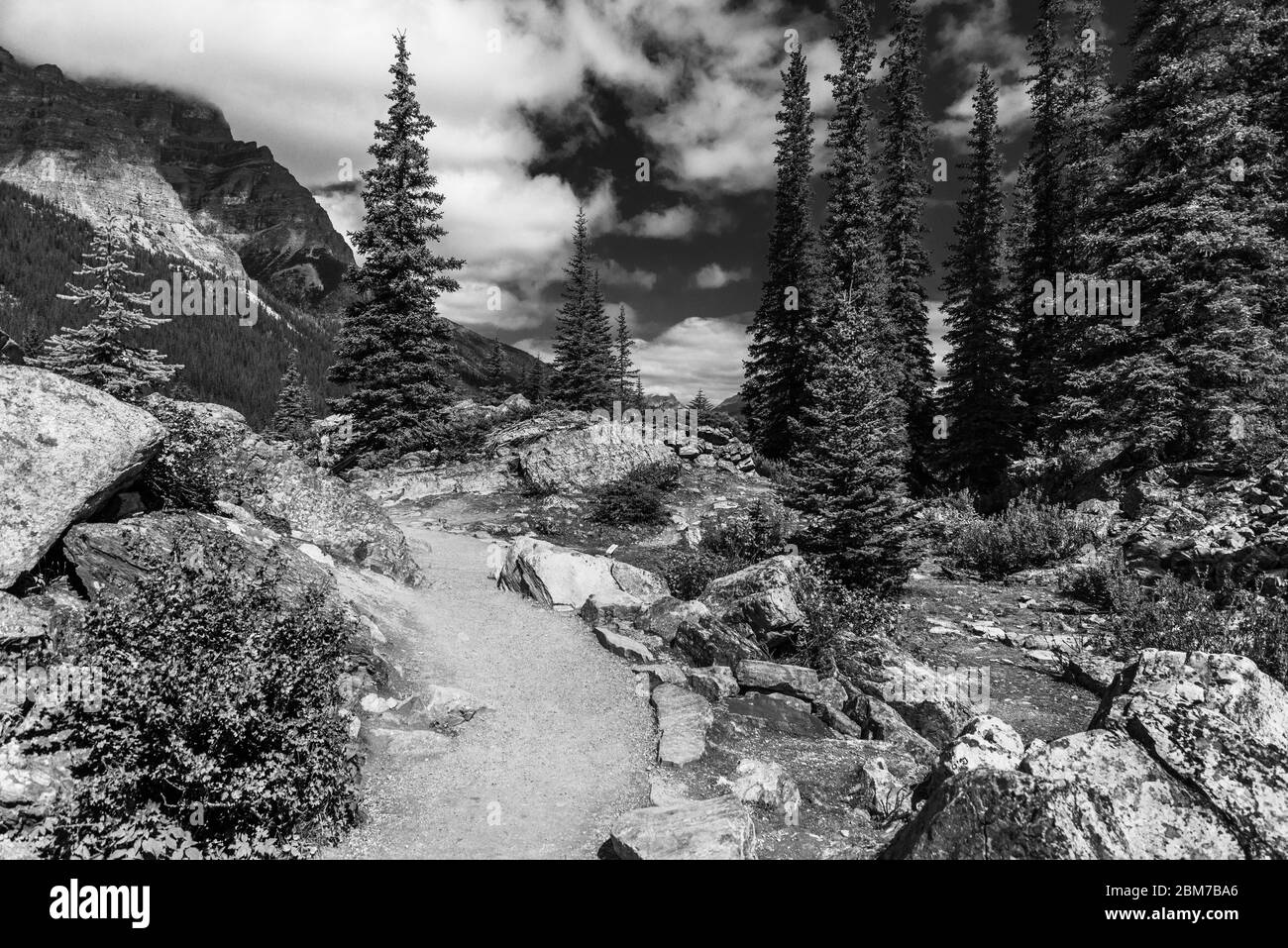 Paysages du lac Morraine, parc national Banff, Alberta, Canada Banque D'Images