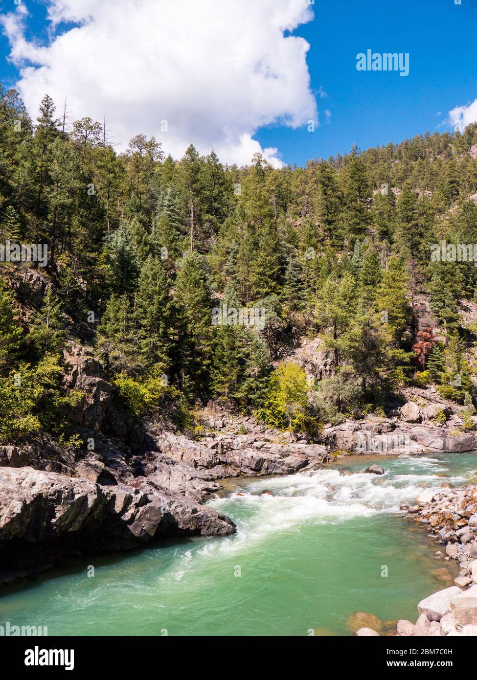 Le chemin de fer à voie étroite de Durango à Silverton qui traverse les montagnes Rocheuses par la rivière Animas dans le Colorado USA Banque D'Images