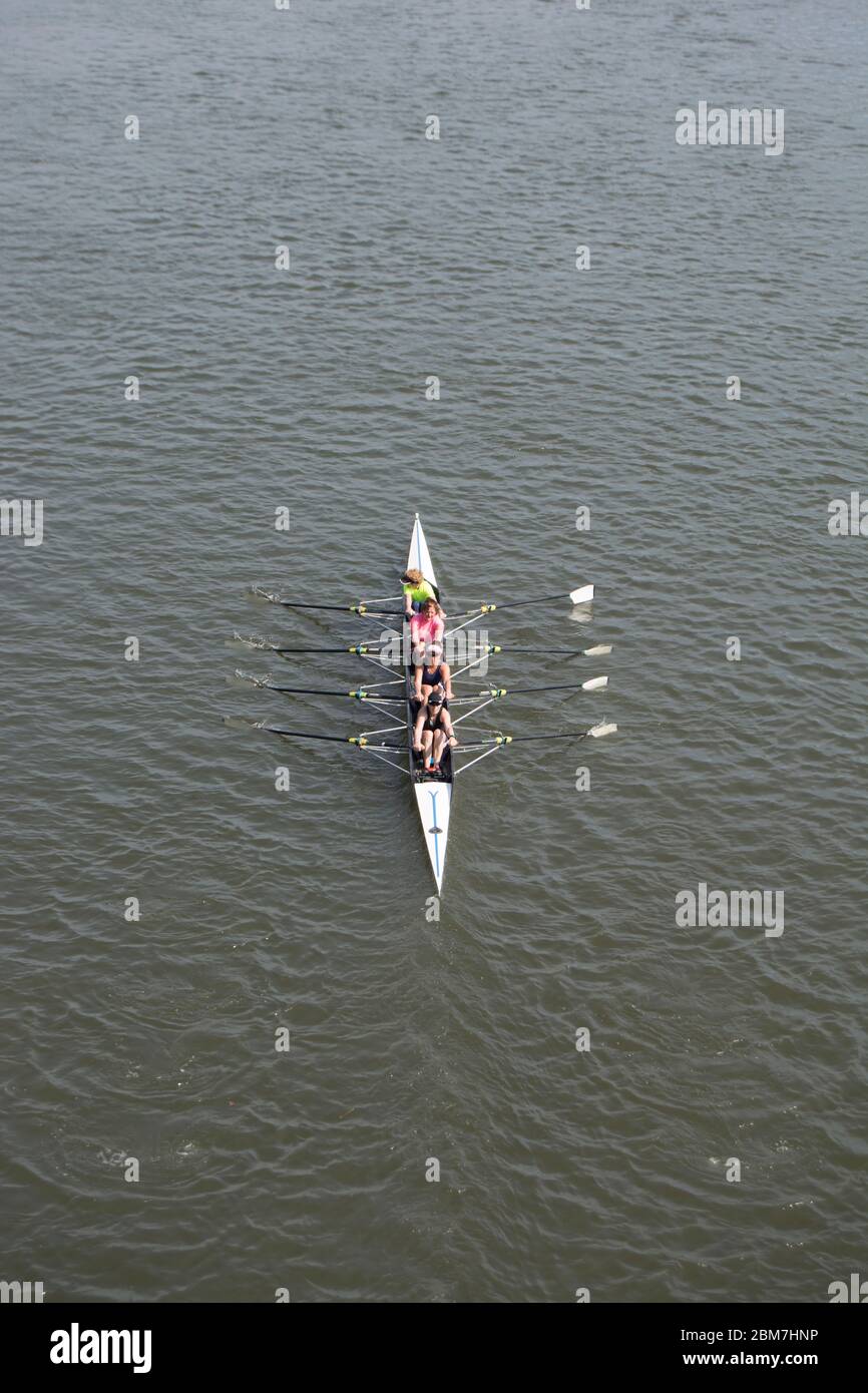 une femelle sans coxless quatre sur la tamise, vue depuis le pont barnes, sud-ouest de londres, angleterre Banque D'Images