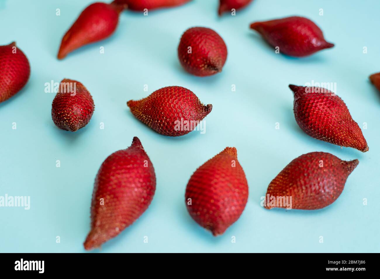 Salak tropical serpent fruit sur fond bleu vue de dessus Banque D'Images