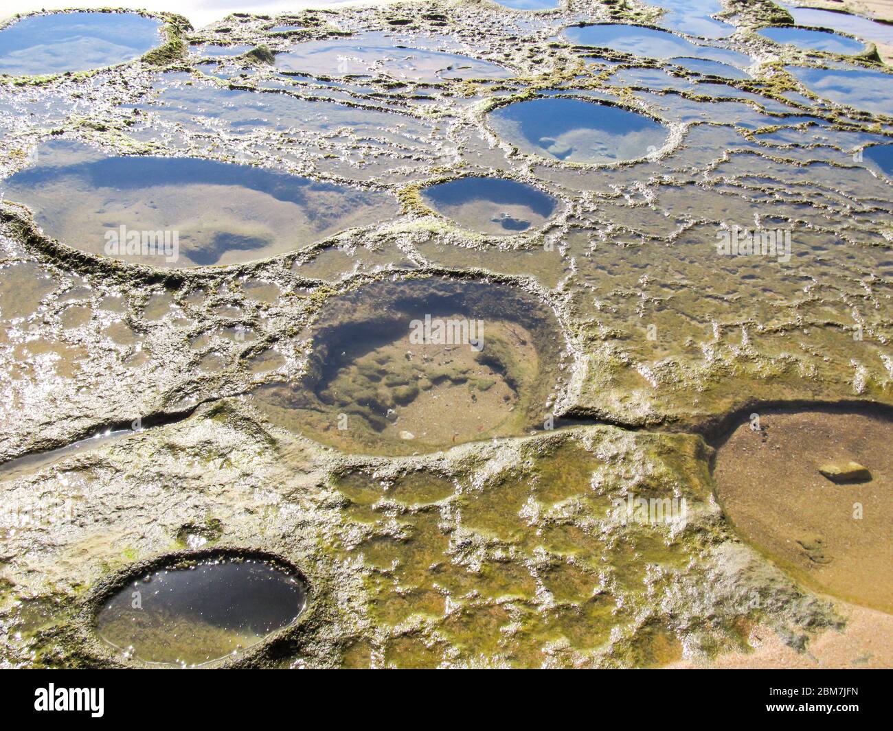 Nids-de-poule de différentes formes dans la roche de plage, dans la zone marémotrice de la côte est de l'île de KaNyaka, au Mozambique Banque D'Images