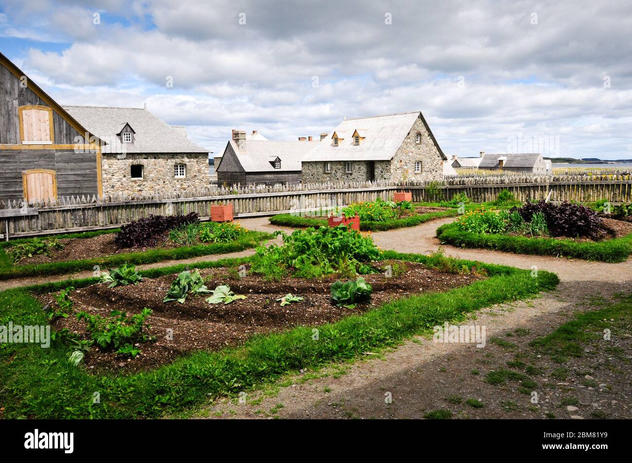 Un jardin potager mélangé à des fleurs Banque D'Images