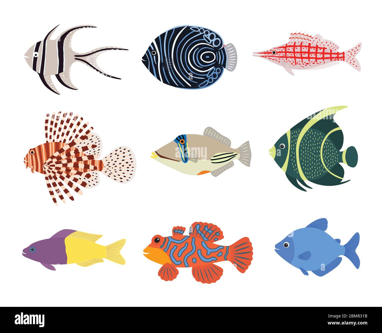 Ensemble de poissons exotiques et marins tropicaux colorés Illustration de Vecteur