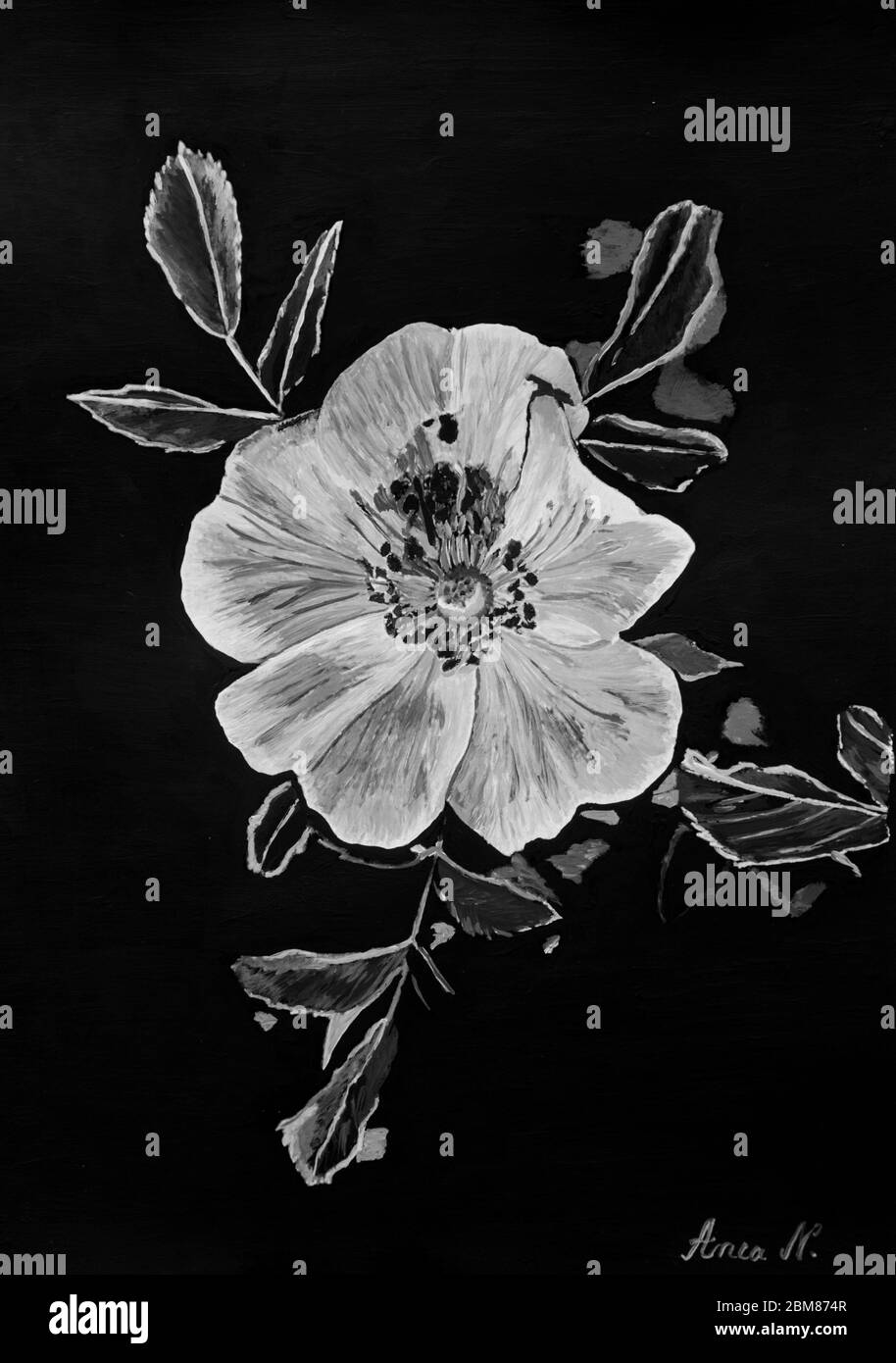 Fleurs peintes Banque D'Images