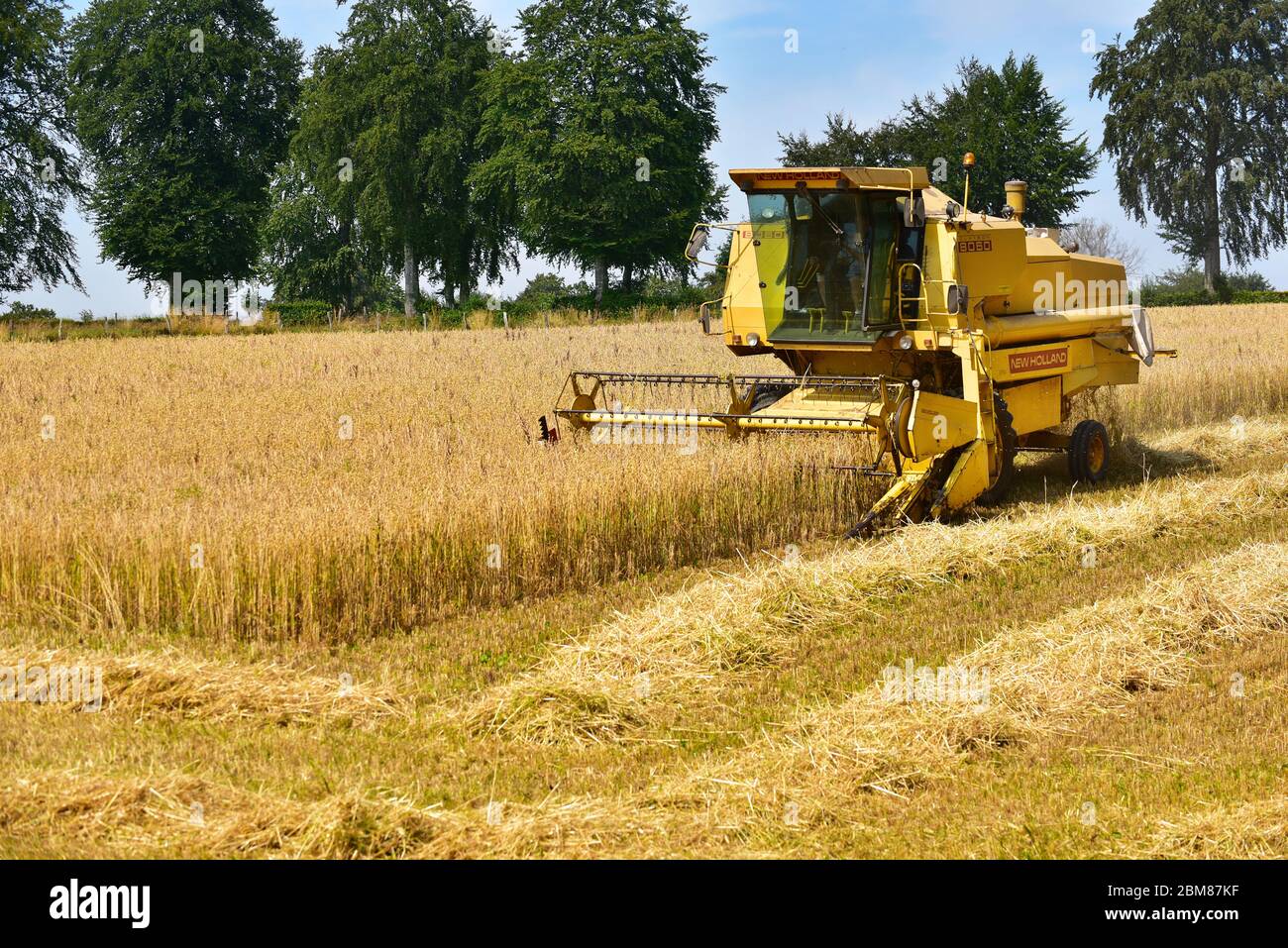 Une moissonneuse-batteuse New Holland. Banque D'Images