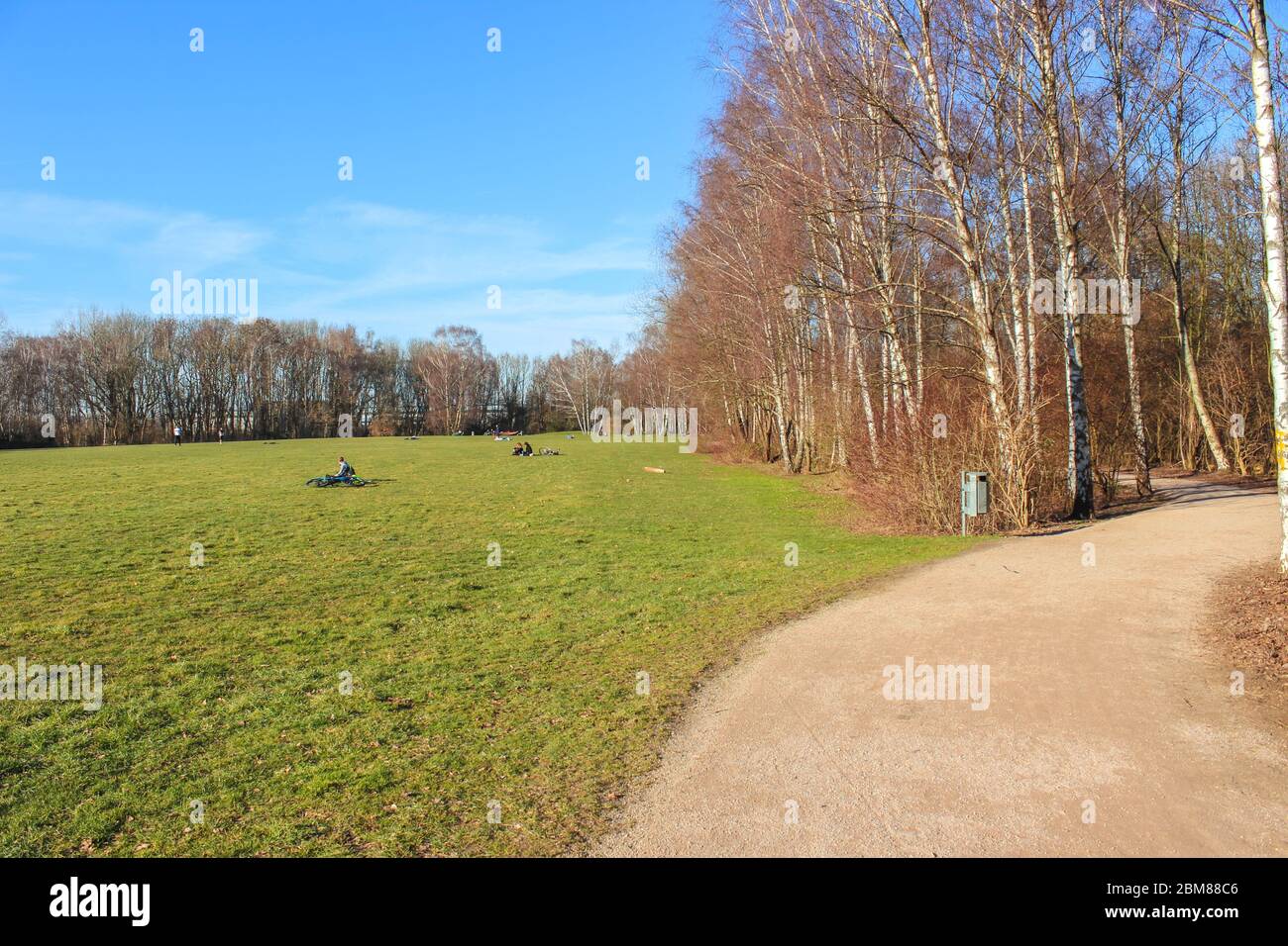 Tremoniapark à Dortmund, Rhénanie-du-Nord-Westphalie, Allemagne. Parc de la ville photographié par une journée ensoleillée en automne. Arbre sans feuilles, personnes en arrière-plan lointain. Parc de Tremonia. Banque D'Images