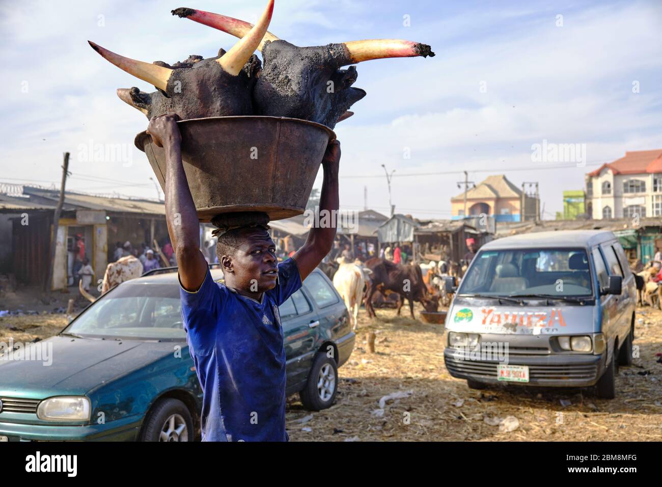 Porter portant un seau d'énormes têtes de vache rôties sur sa tête au marché de la viande de Kano. Banque D'Images
