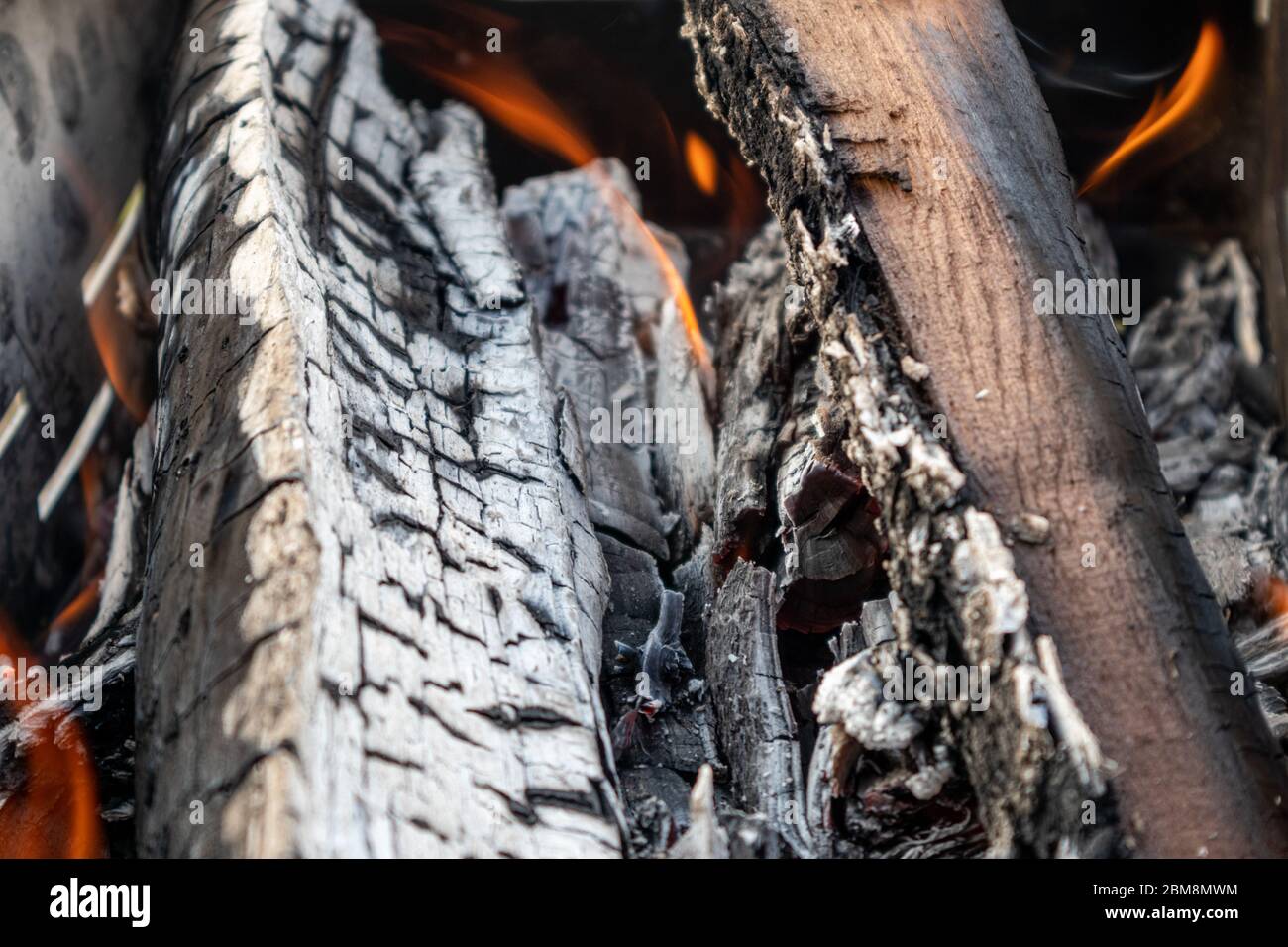Charbon gris de bois brûlé avec petit feu de bois rouge orange chaud sur les branches brûlant de près. Flammes chaudes sur le charbon Banque D'Images