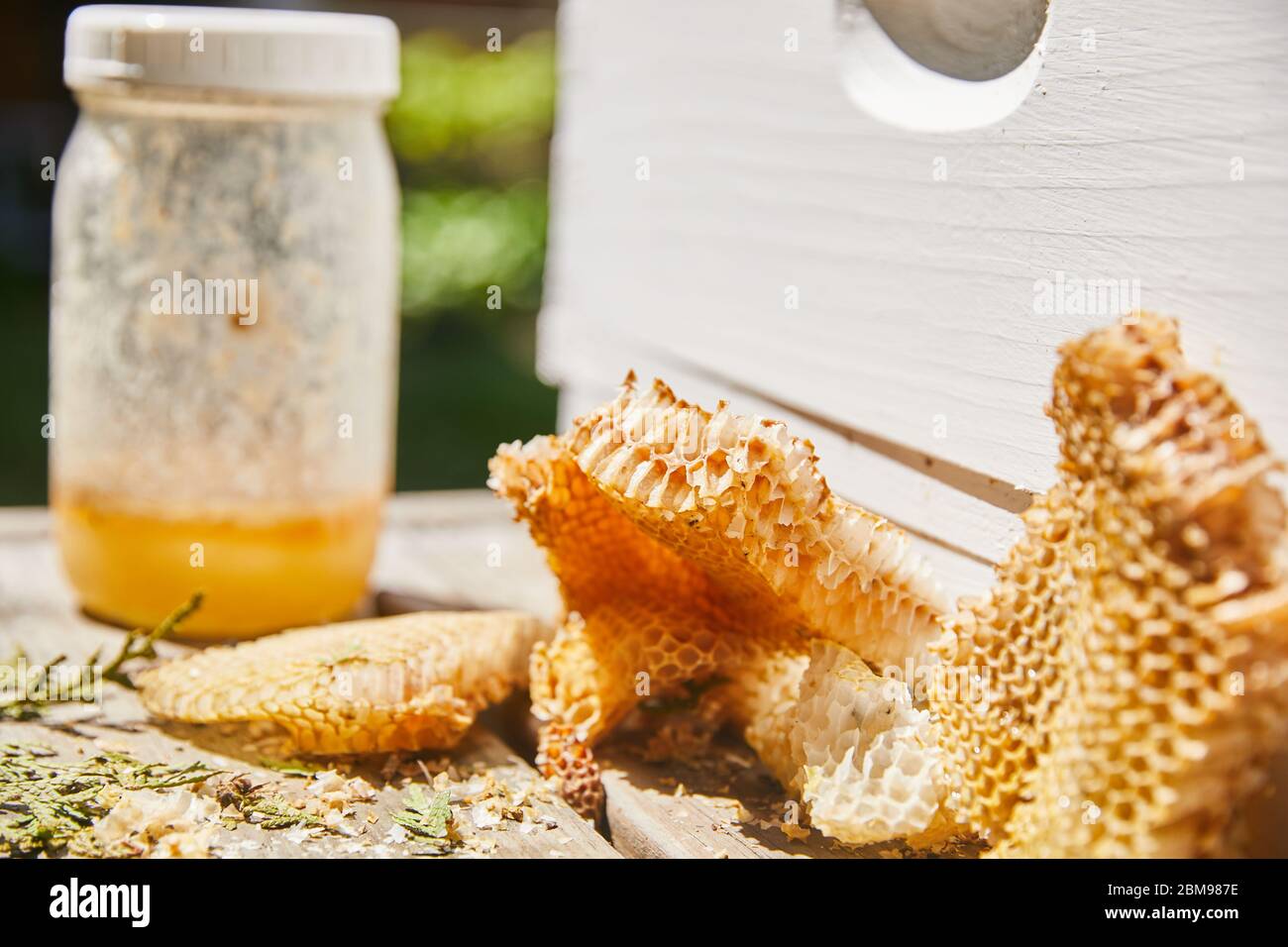 Un nid d'abeille et un pot de miel se trouvent à l'extérieur d'une ruche d'abeille d'élevage Banque D'Images