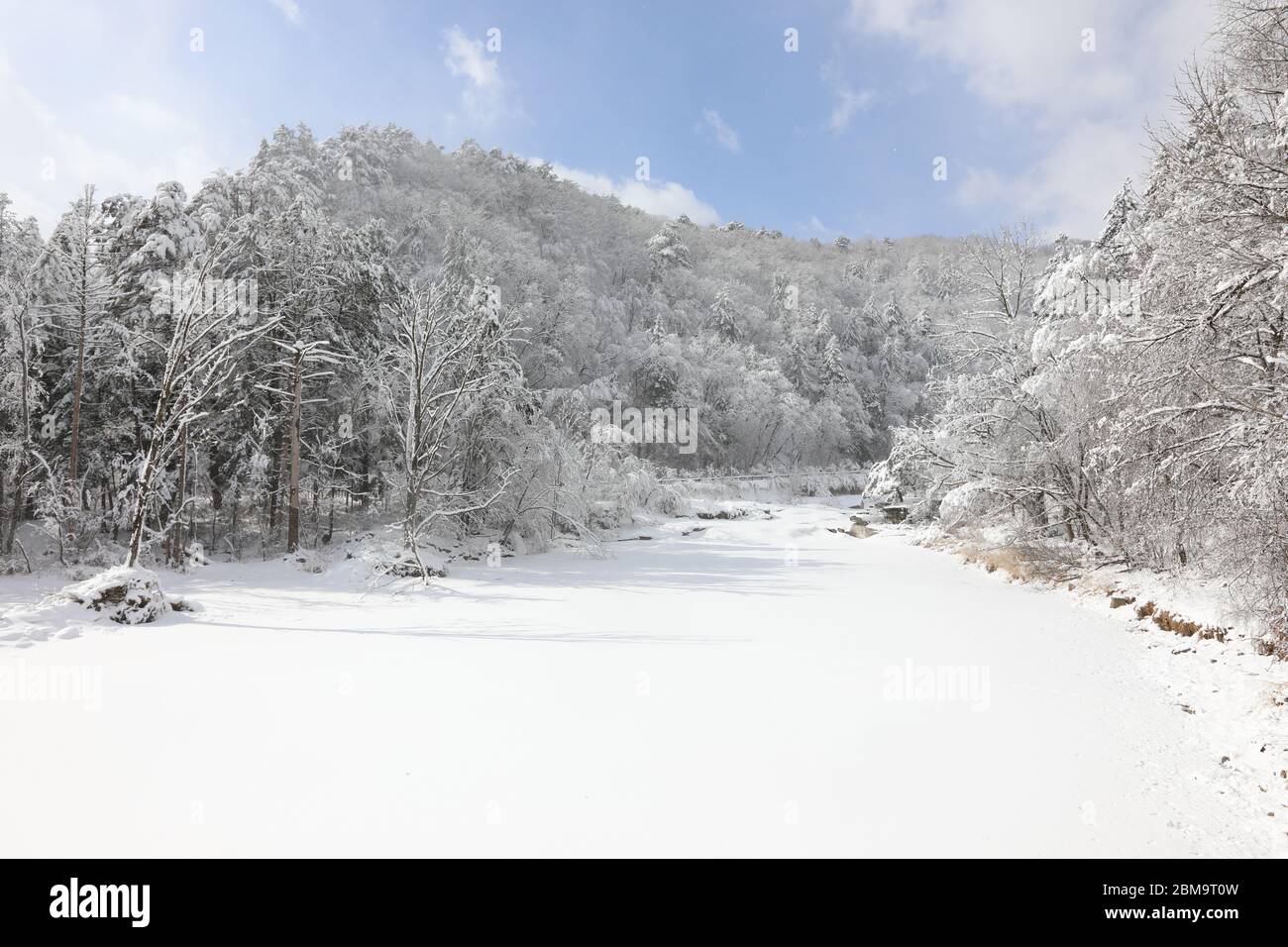 Magnifique paysage enneigé de montagne d'hiver. Magnifique et silencieux jour ensoleillé. Parc national d'Odaesan, Gangwon-do, Corée. Banque D'Images