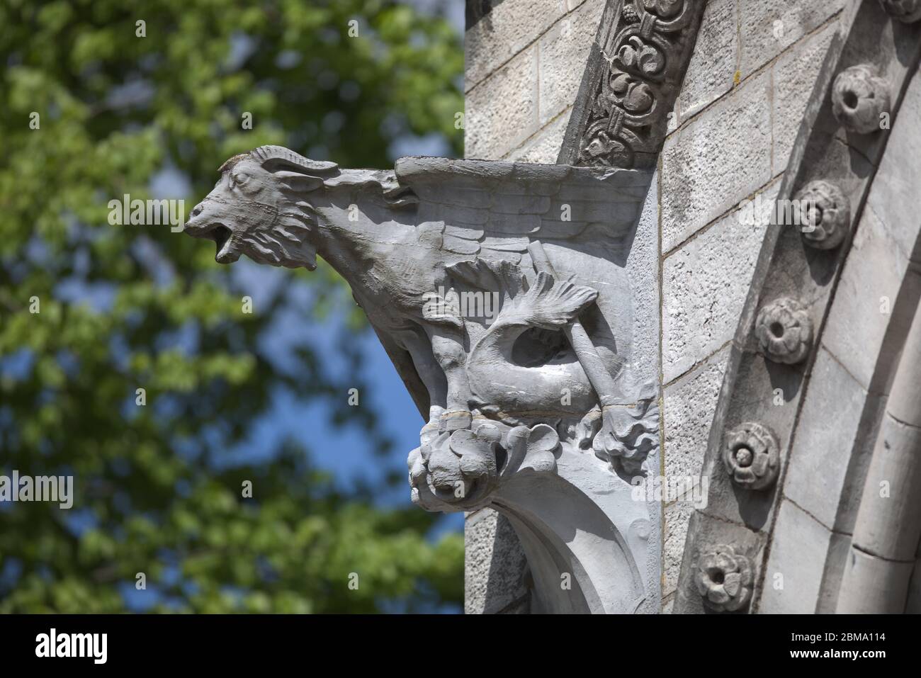 Sculptures en pierre sur la cathédrale Saint-fin-Barres de Cork Banque D'Images