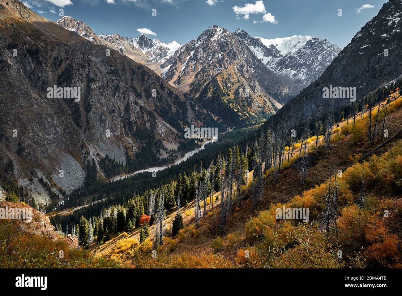 Magnifique paysage de montagne avec fleuve et Jaune automne forêt dans le Kazakhstan, Almaty Banque D'Images