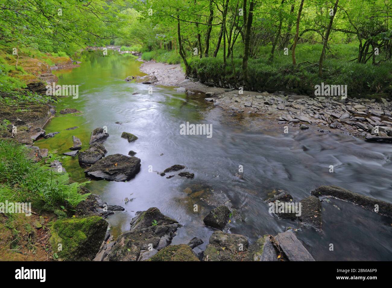 La rivière Barle à Tarr, marches Réserve naturelle nationale Woodland, Parc national Exmoor, Somerset, Angleterre Banque D'Images