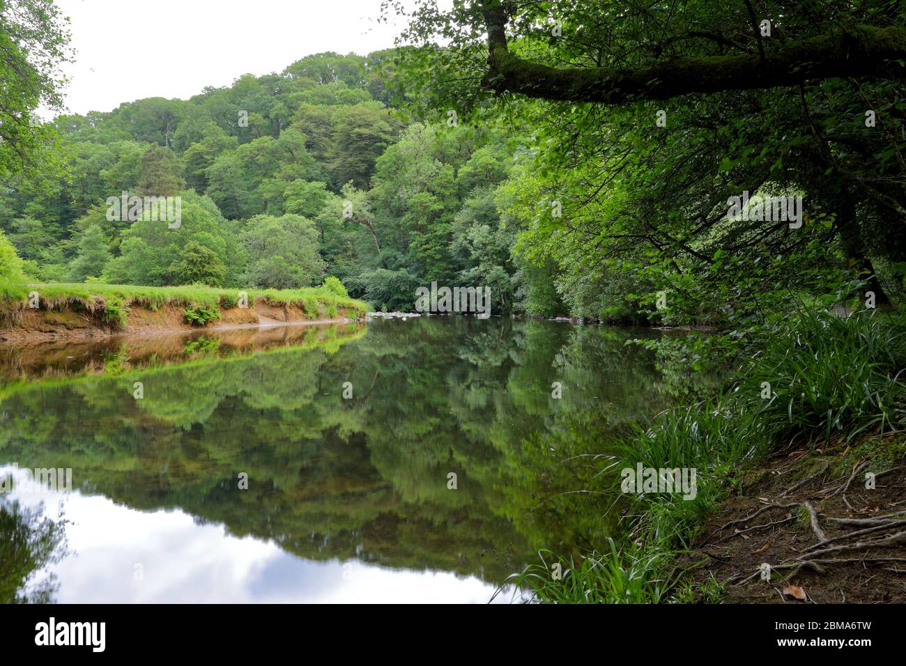 La rivière Barle à Tarr, marches Réserve naturelle nationale Woodland, Parc national Exmoor, Somerset, Angleterre Banque D'Images