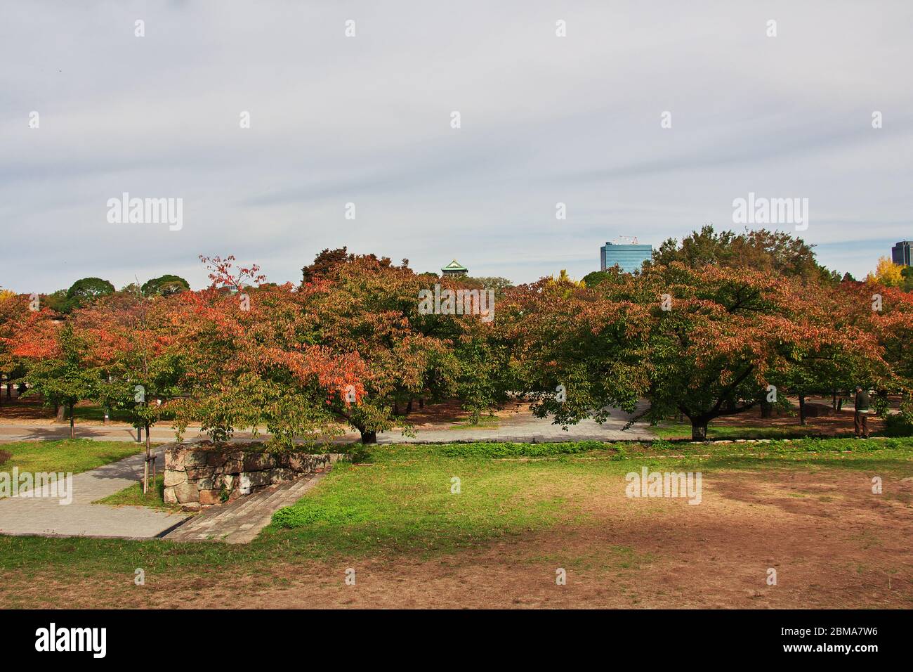 Le château médiéval à l'automne, Osaka, Japon Banque D'Images