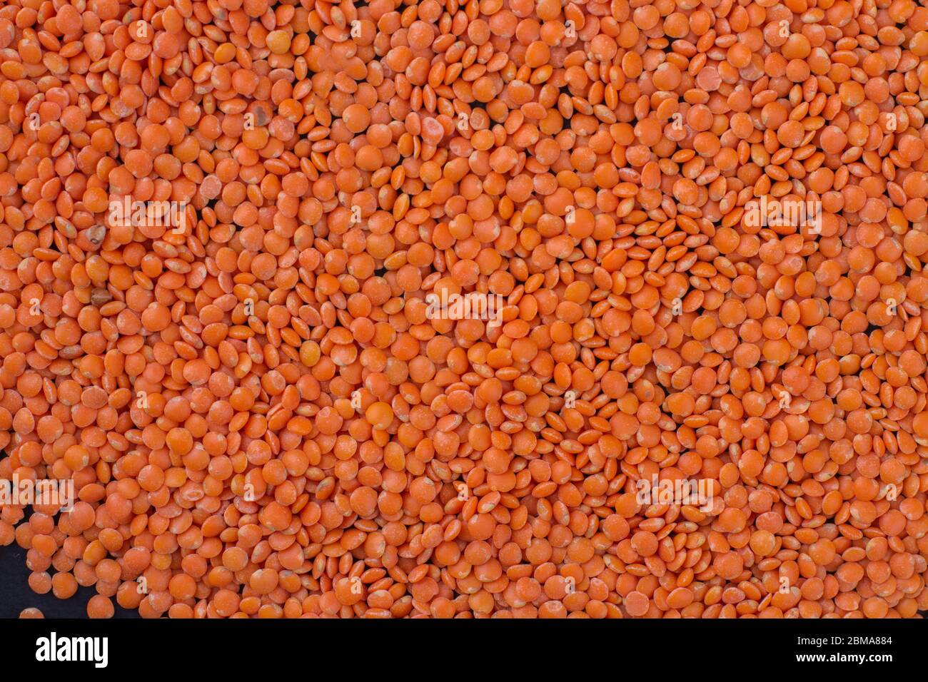 Lentilles orange vue de dessus. Banque D'Images Lentilles orange vue de dessus. Banque D'Images