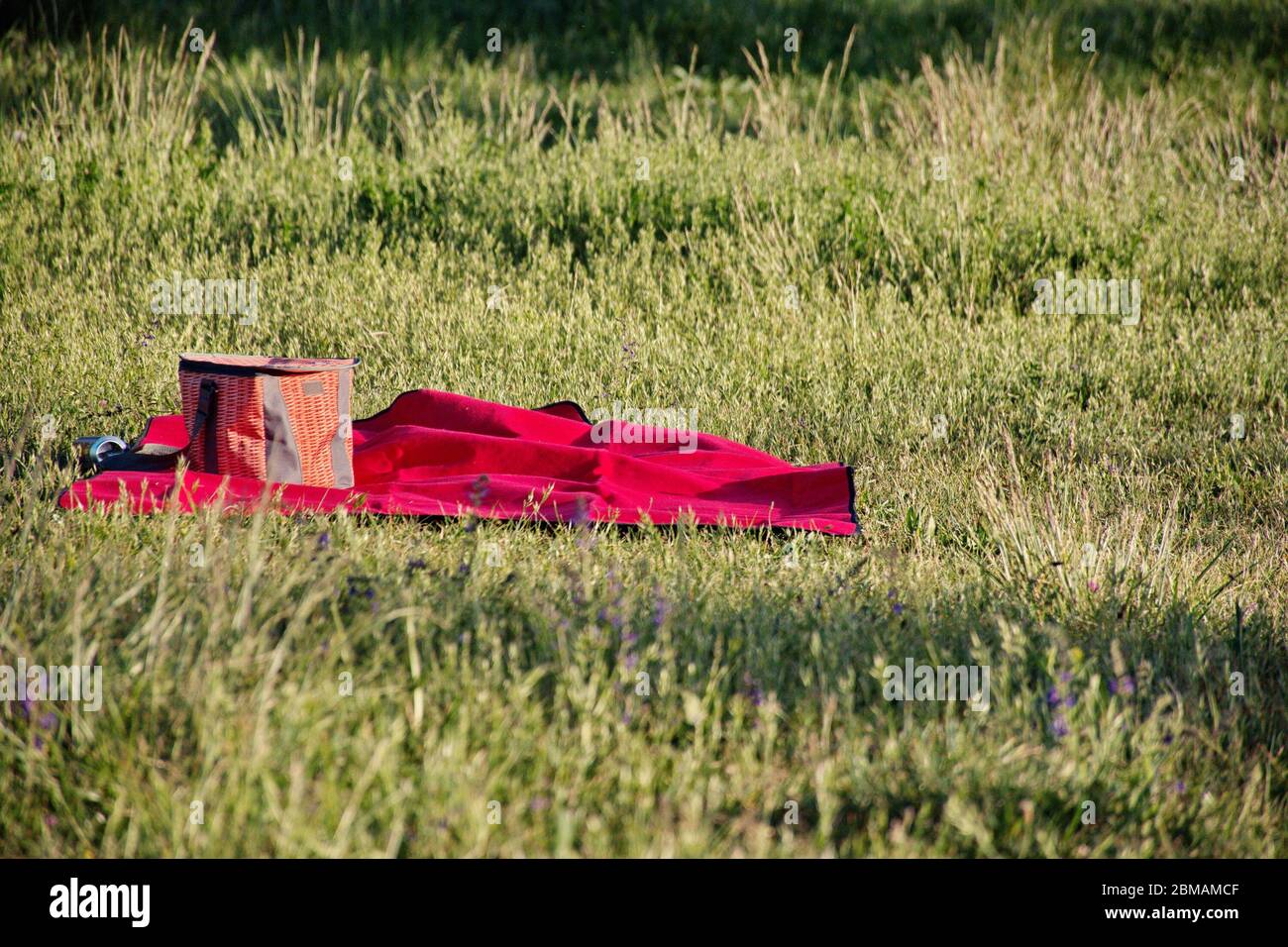 Panier pique-nique et couverture sur l'herbe Banque D'Images