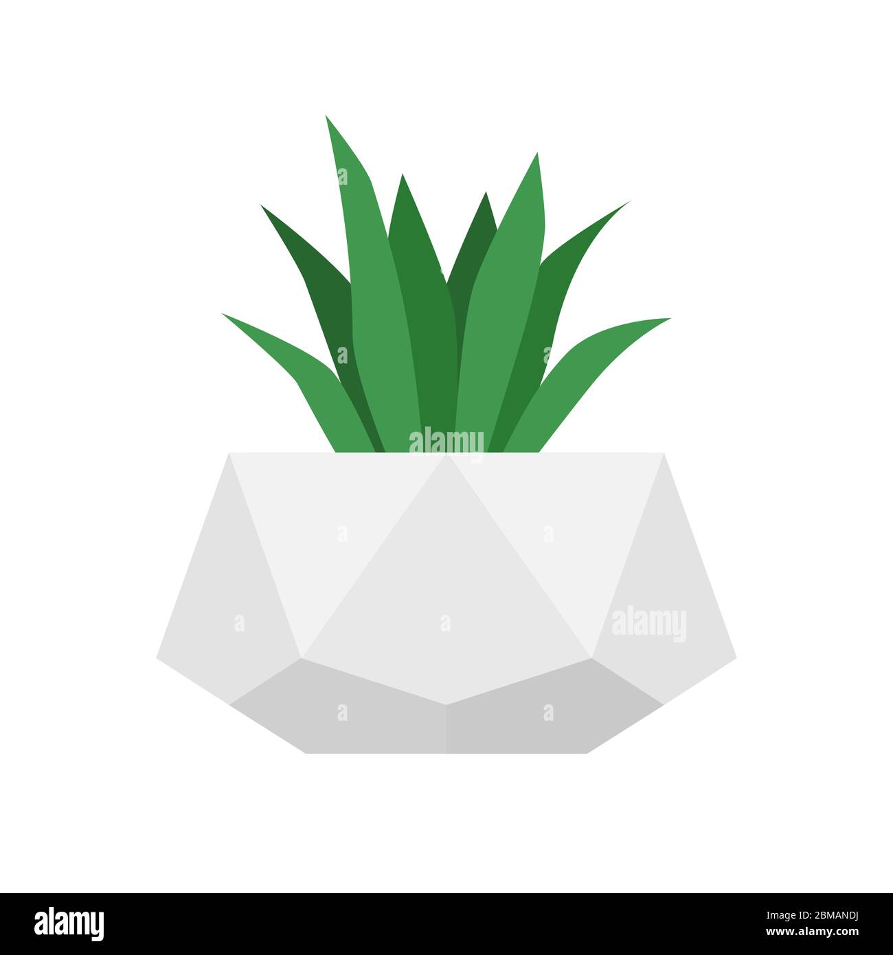 Fleur dans un pot en béton géométrique tendance. Plante succulente isolée par vecteur. Jardinage à la maison Illustration de Vecteur