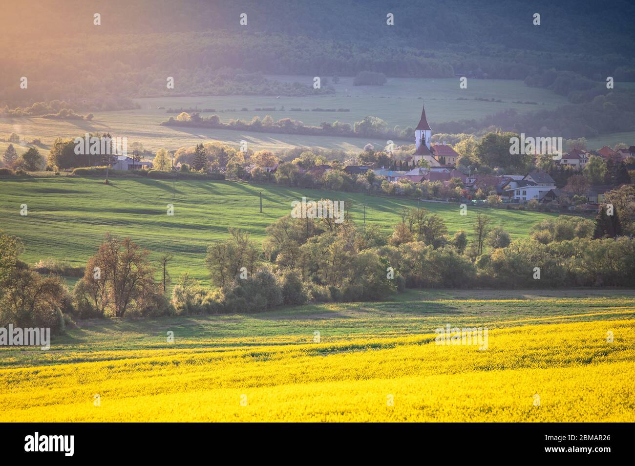 Village et paysage agricole au printemps mai temps. Paysage ensoleillé, église, arbres, et champs verts et jaunes Banque D'Images