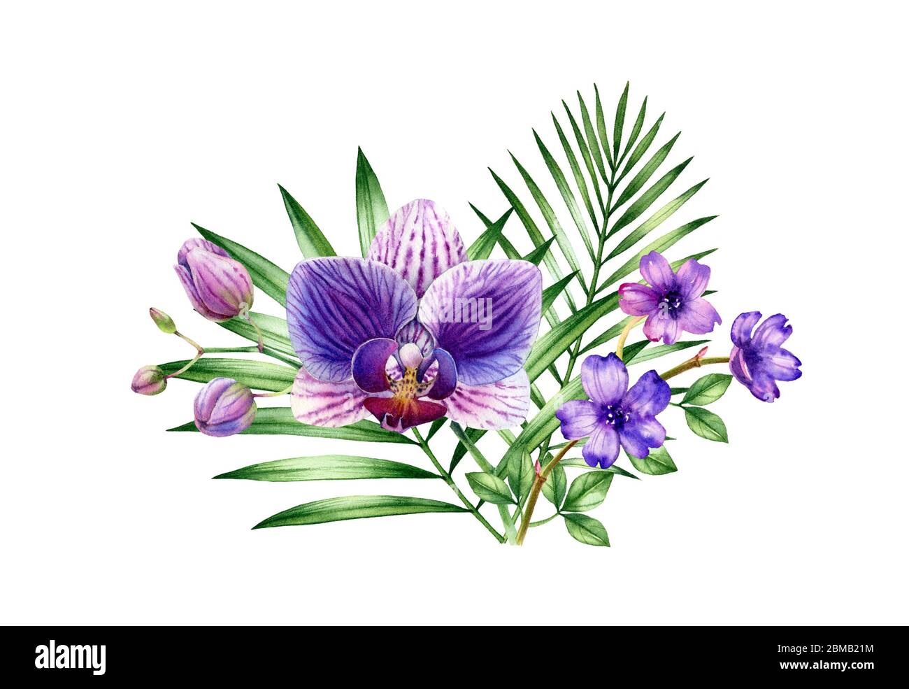Bouquet tropical aquarelle. Arrangement de feuilles de palmier et d'orchidée pourpre. Fond tropical peint à la main. Illustrations botaniques isolées sur blanc. Banque D'Images