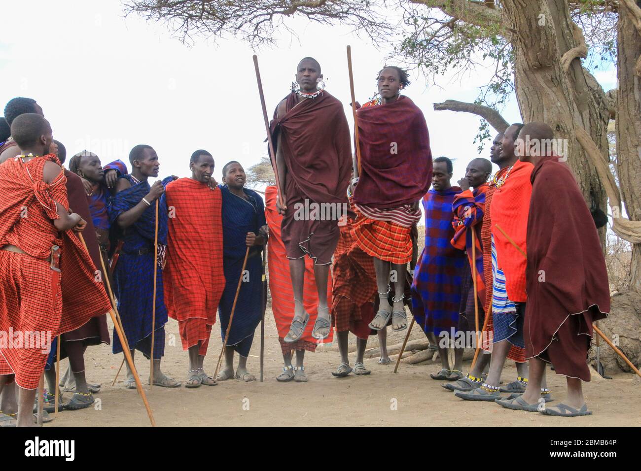 Danse tribale lors d'une cérémonie de Maasai Maasai est un groupe ethnique de personnes semi-nomades photographiées en Tanzanie Banque D'Images