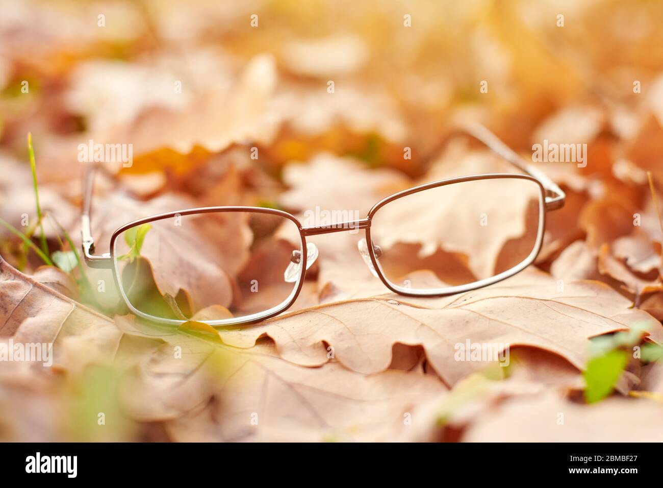 Lunettes sur le feuillage d'automne. Concept de perte de vision d'automne. Carence en vitamine avec âge. Banque D'Images