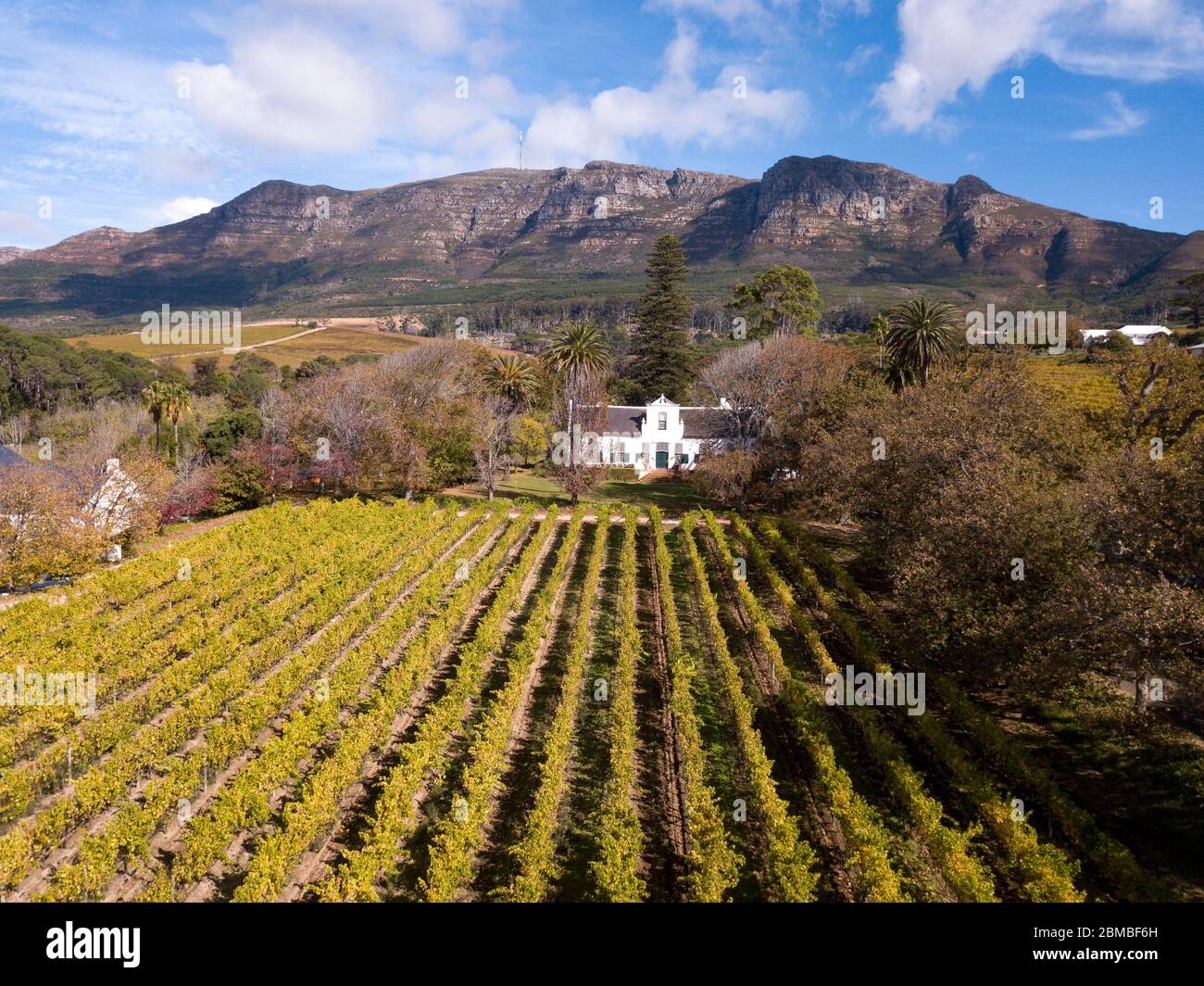 Antenne d'une ferme viticole au Cap, Afrique du Sud Banque D'Images