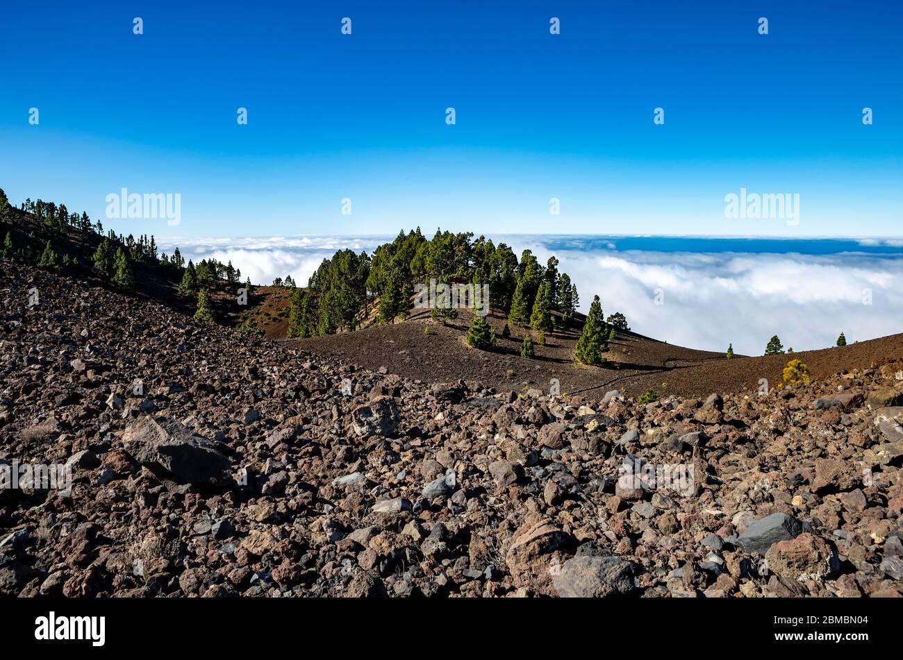 Paysage volcanique le long de la Ruta de los Volcanes, la Palma, les îles Canaries, l'Espagne, l'Europe. Banque D'Images