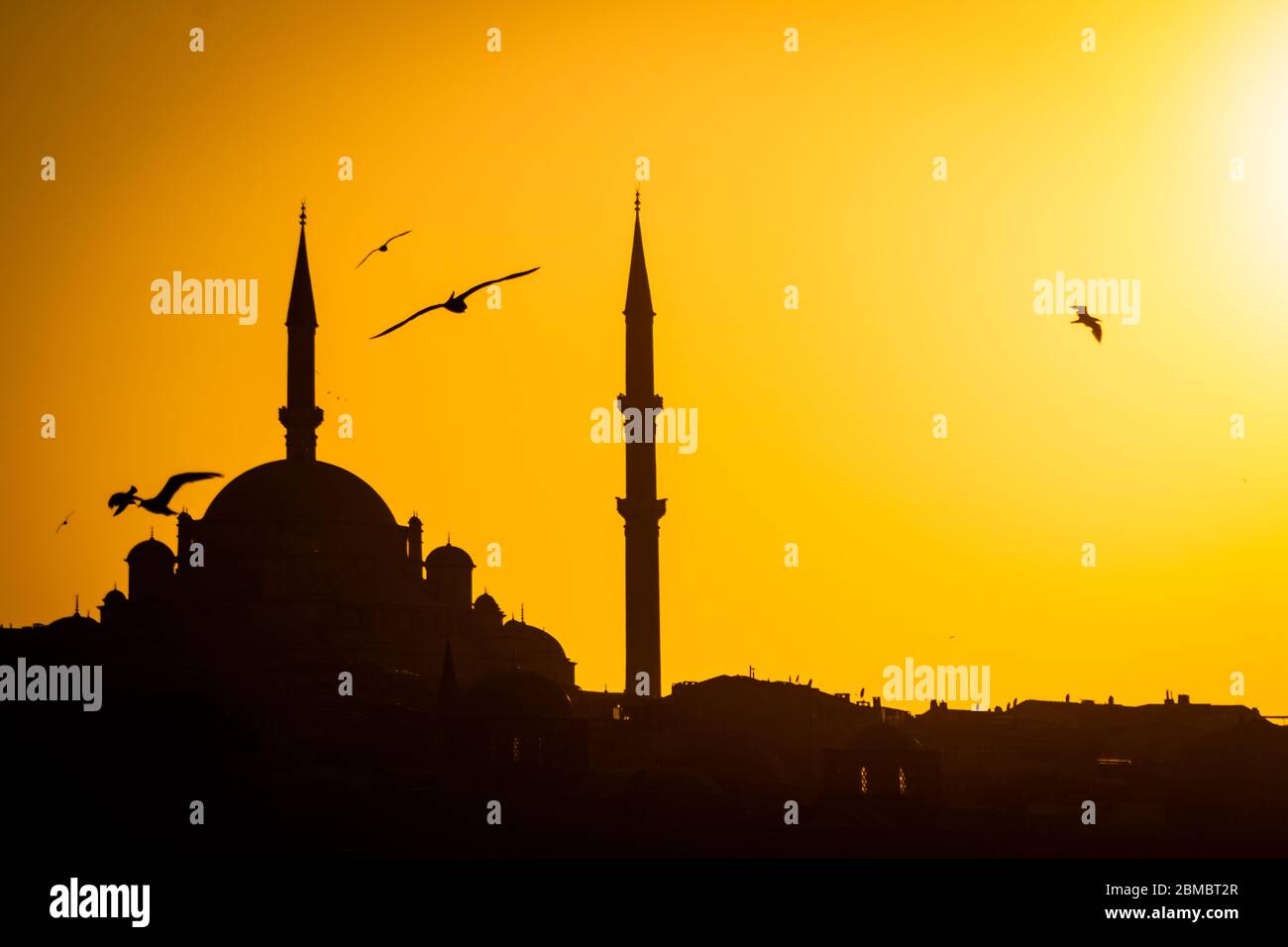Mosquée Fatih et mouettes au coucher du soleil Banque D'Images