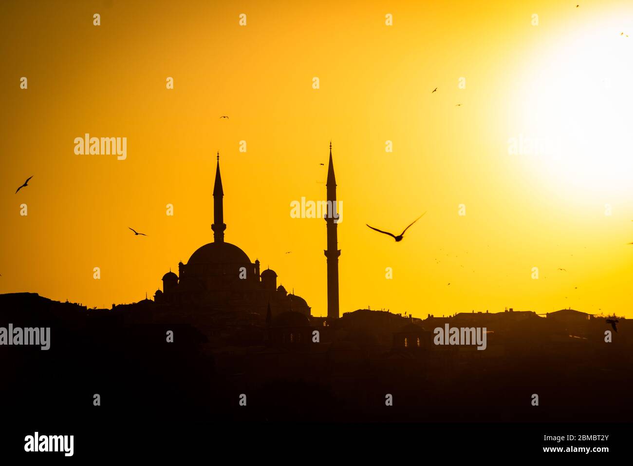 Mosquée Fatih et mouettes au coucher du soleil Banque D'Images