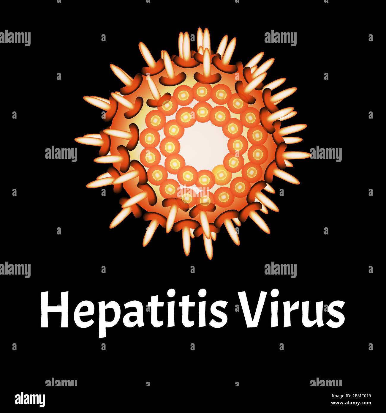 Structure du virus de l'hépatite. Infection virale hépatite. Maladies sexuellement transmissibles. Infographies. Illustration vectorielle sur un arrière-plan isolé. Illustration de Vecteur