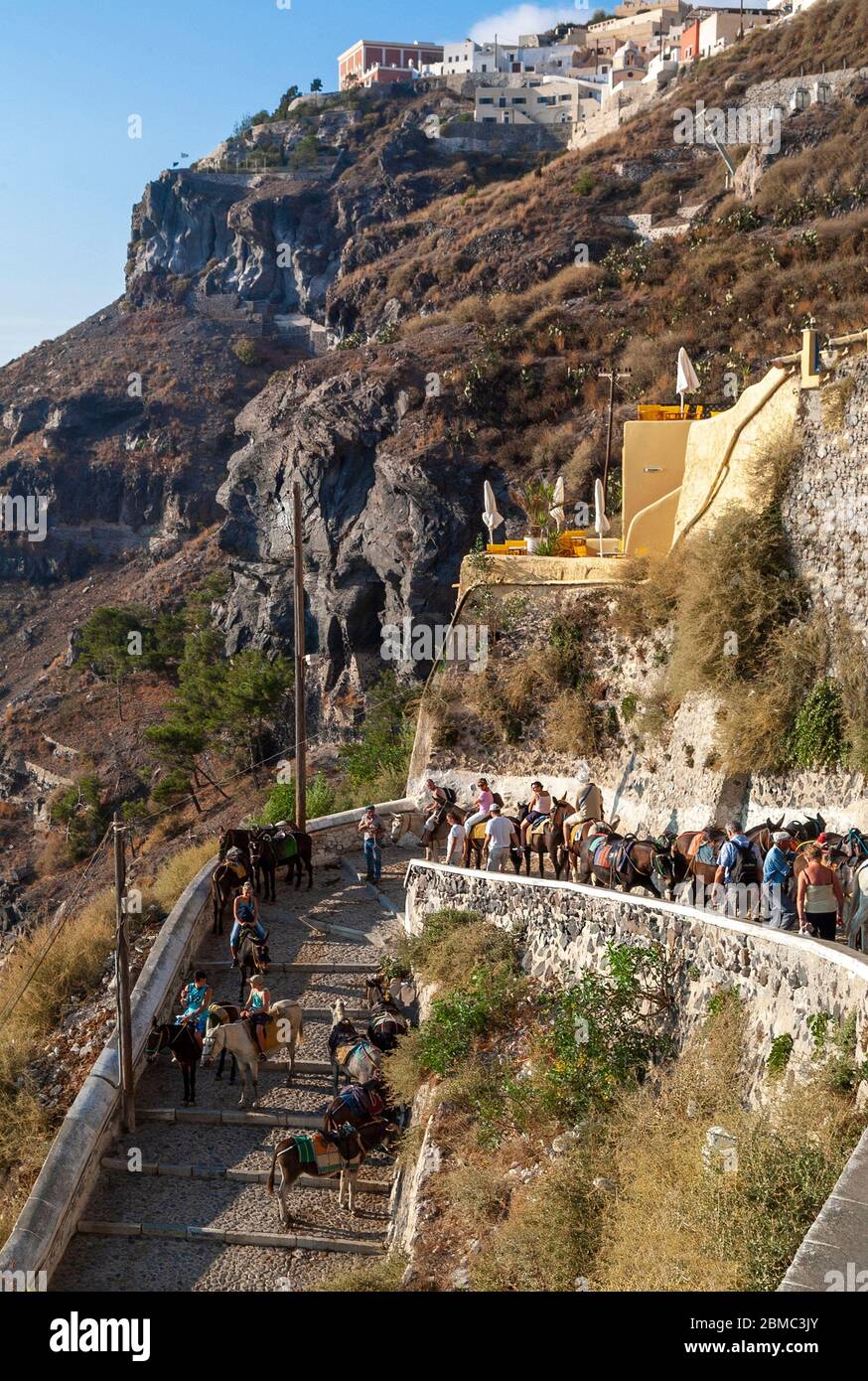Ânes et mules transportant de lourdes charges et loués par les touristes pour les prendre des quais jusqu'aux marches abruptes de la ville de Fira, Santorini, Grèce Banque D'Images
