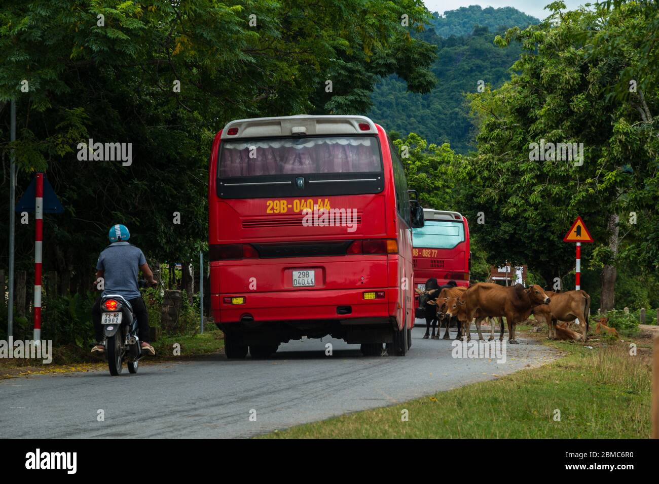 Trafic à Phong Nha Ke Bang, Vietnam Banque D'Images
