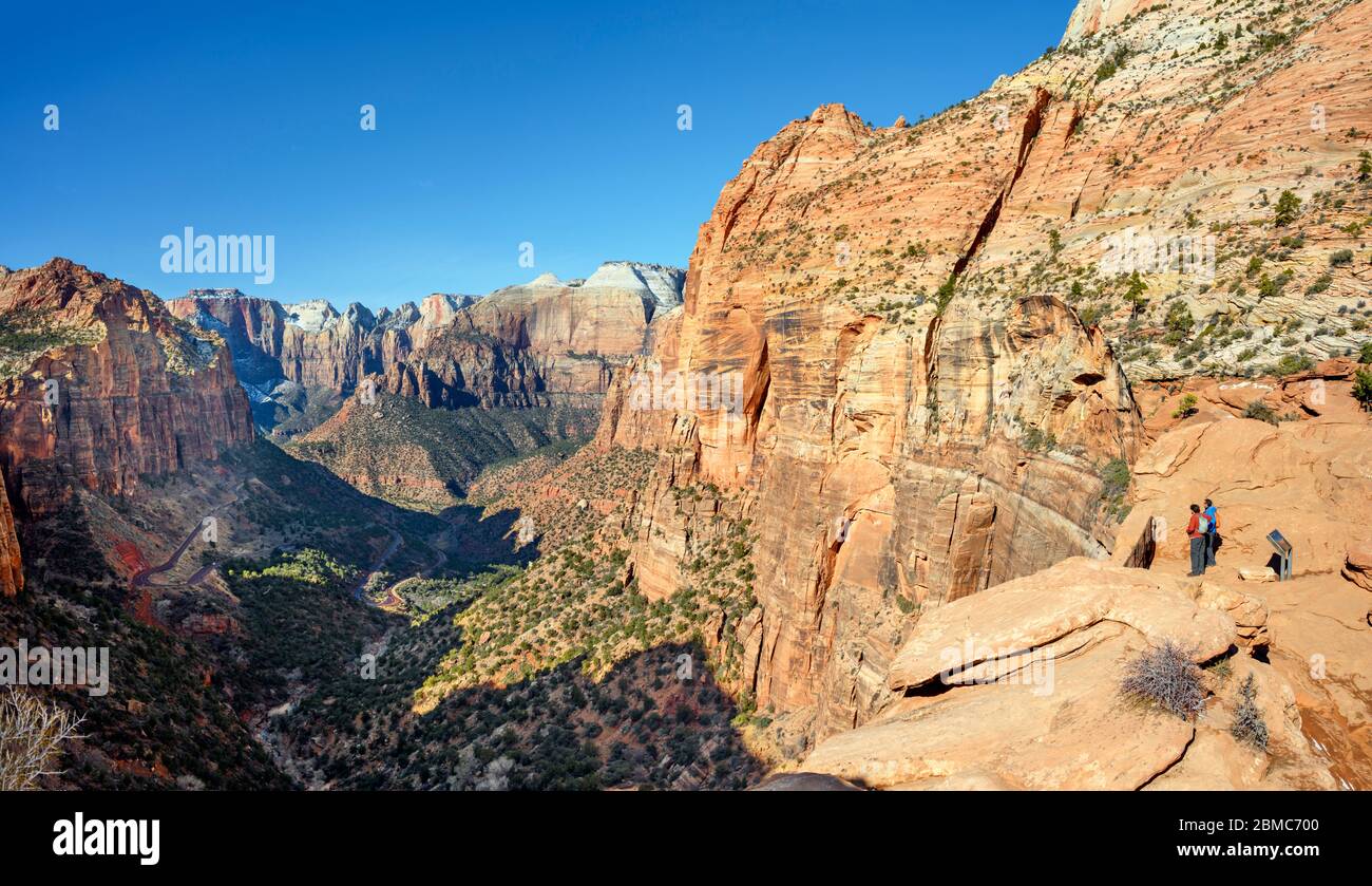 Vue sur le canyon de Zion depuis Canyon Overview, parc national de Zion, Utah, États-Unis Banque D'Images