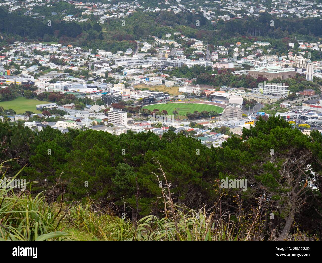 Wellington City depuis le belvédère du Mont Victoria Banque D'Images