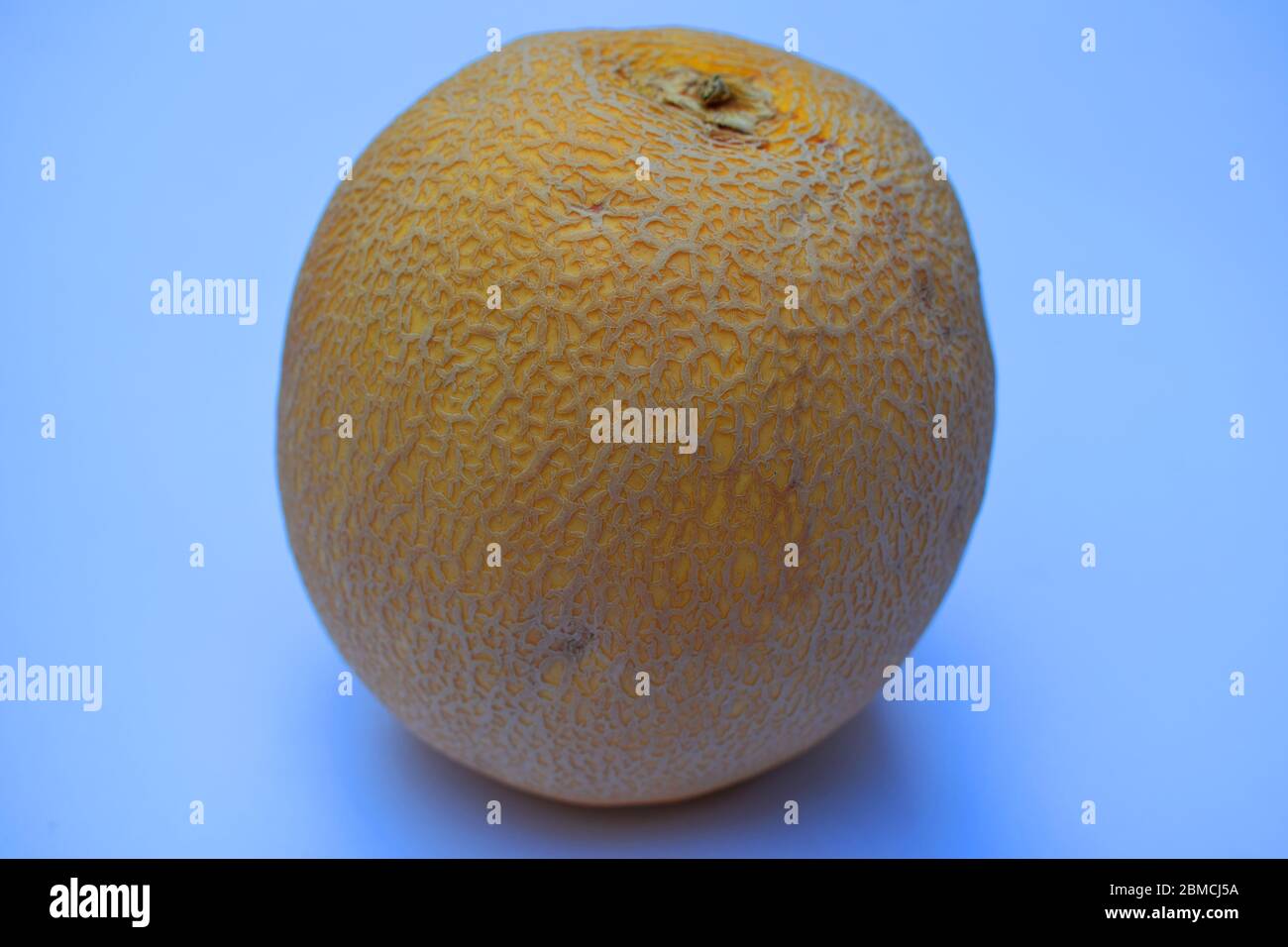 Vue latérale du Cantaloup Muskmelon fruit of India, orange jaune de couleur savoureux juteux nutritif gros plan isolé blanc, Galia melon variet Banque D'Images
