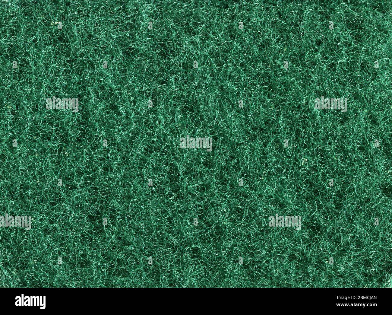 macro de texture organique en fibres d'éponge vertes très détaillées Banque D'Images