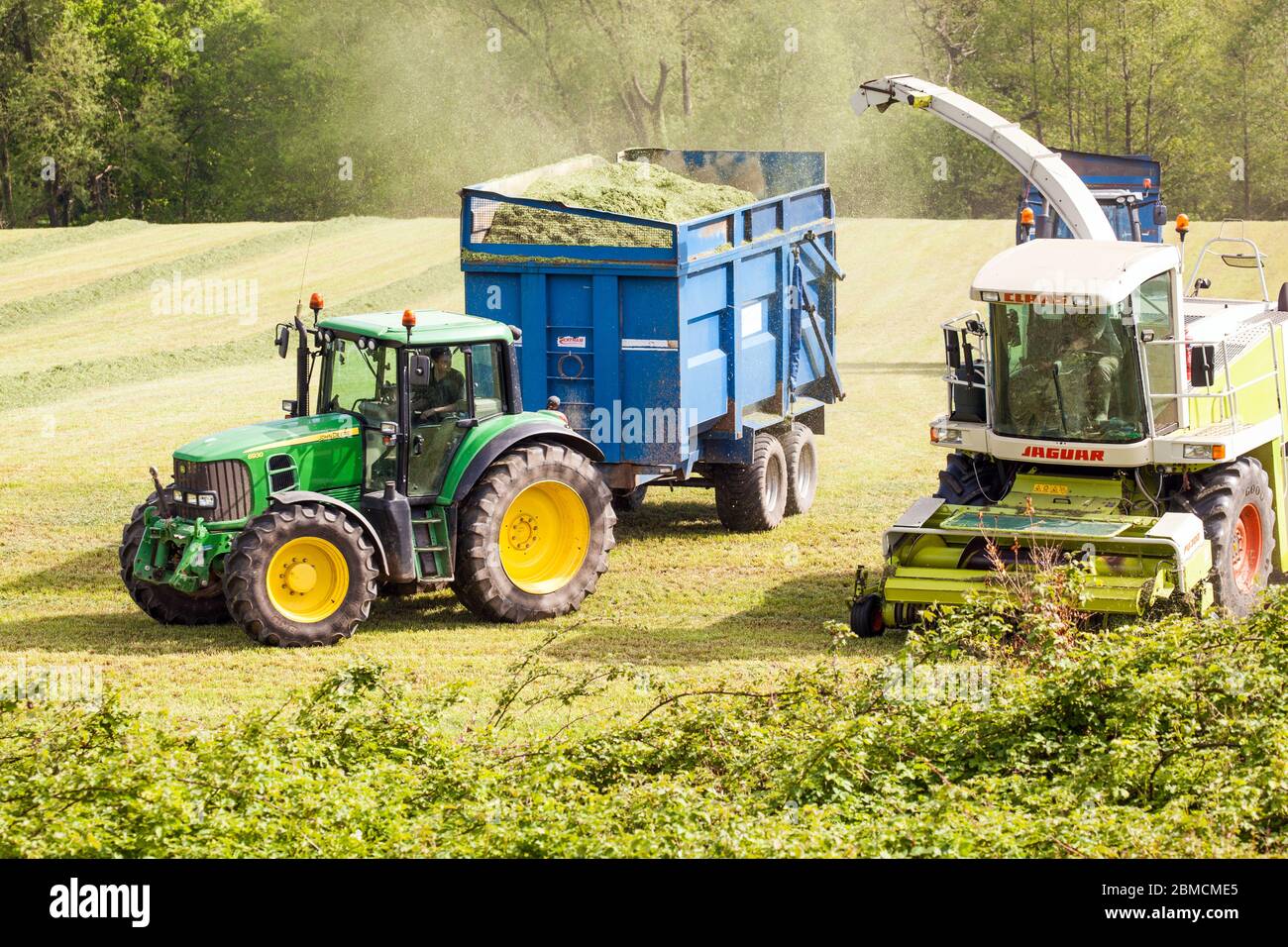 Agriculteur récoltant de l'herbe pour l'ensilage dans les terres agricoles de campagne du Cheshire, conduisant un tracteur John Deere vert et une moissonneuse Claas Jaguar 840 Banque D'Images