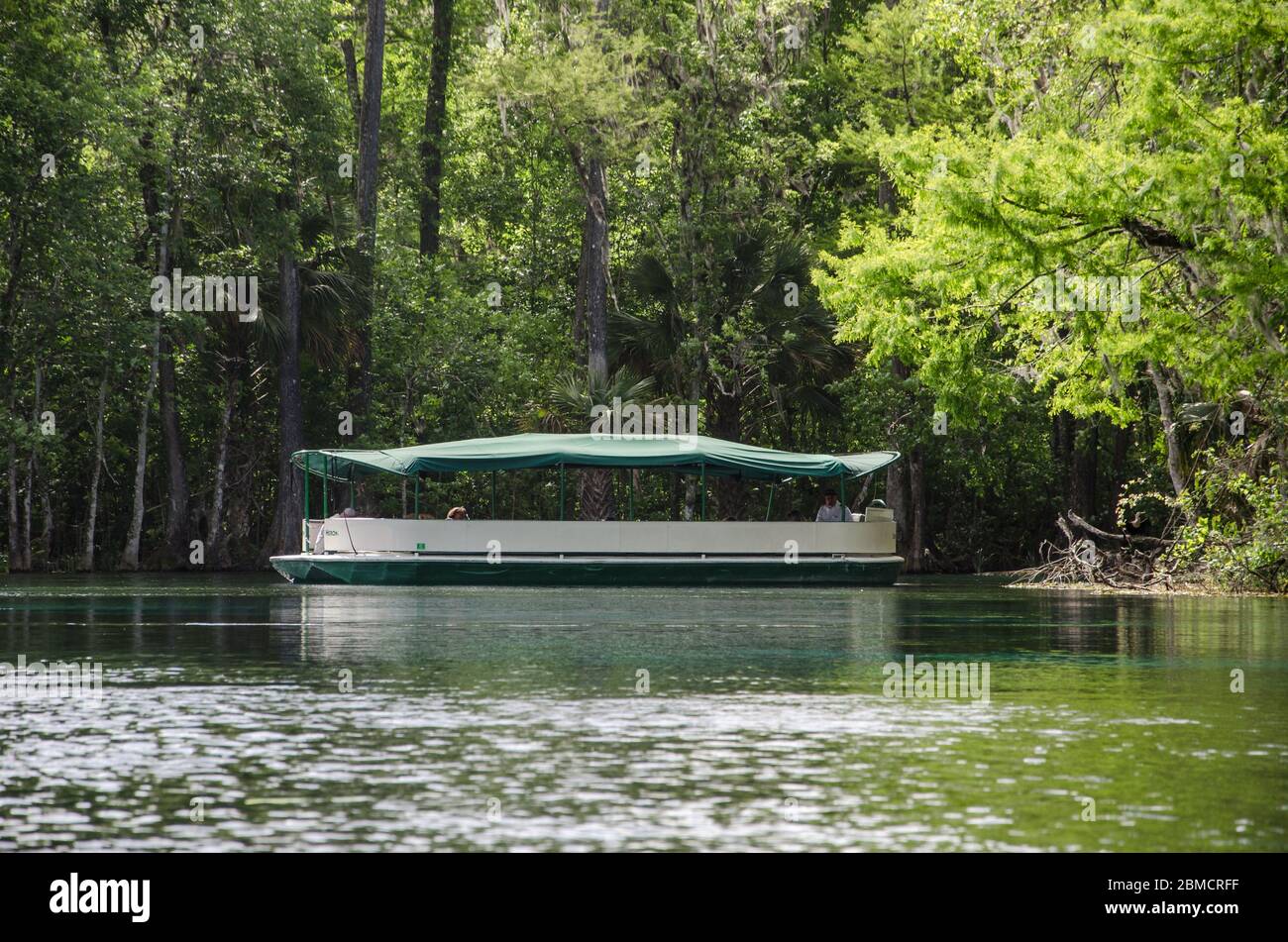 Un bateau à fond de verre installé dans une crique dans le parc national de Silver Springs, Floride Banque D'Images